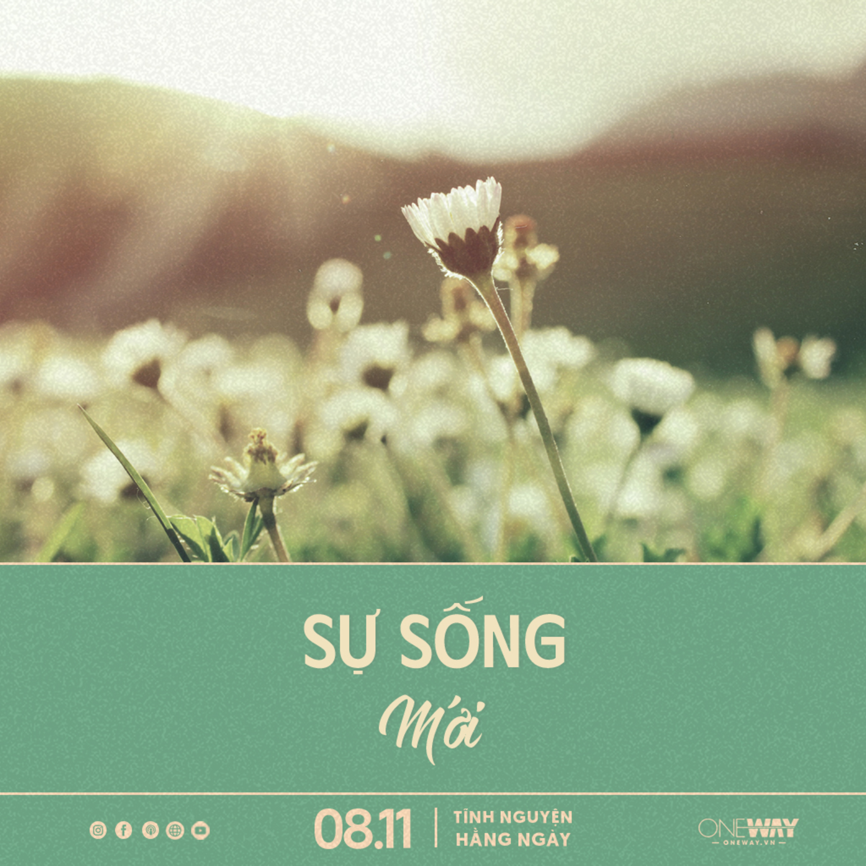 SỰ SỐNG MỚI | Tĩnh Nguyện Hằng Ngày 08/11/2023 episode artwork