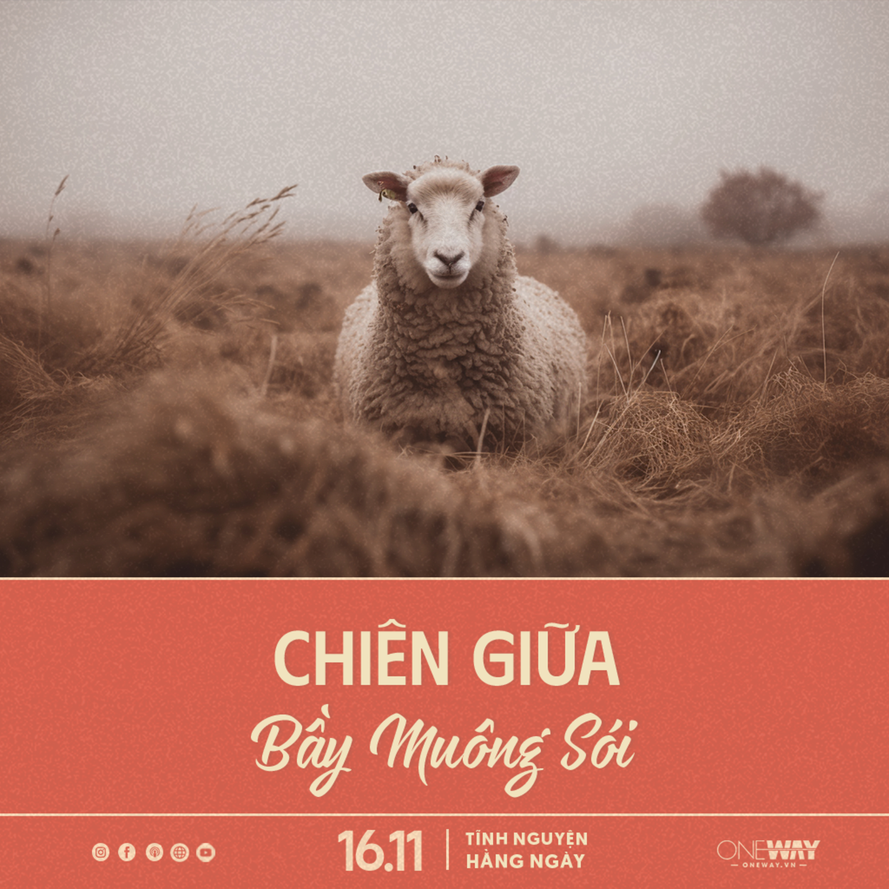 CHIÊN GIỮA BẦY MUÔNG SÓI | Tĩnh Nguyện Hằng Ngày 16/11/2023 episode artwork