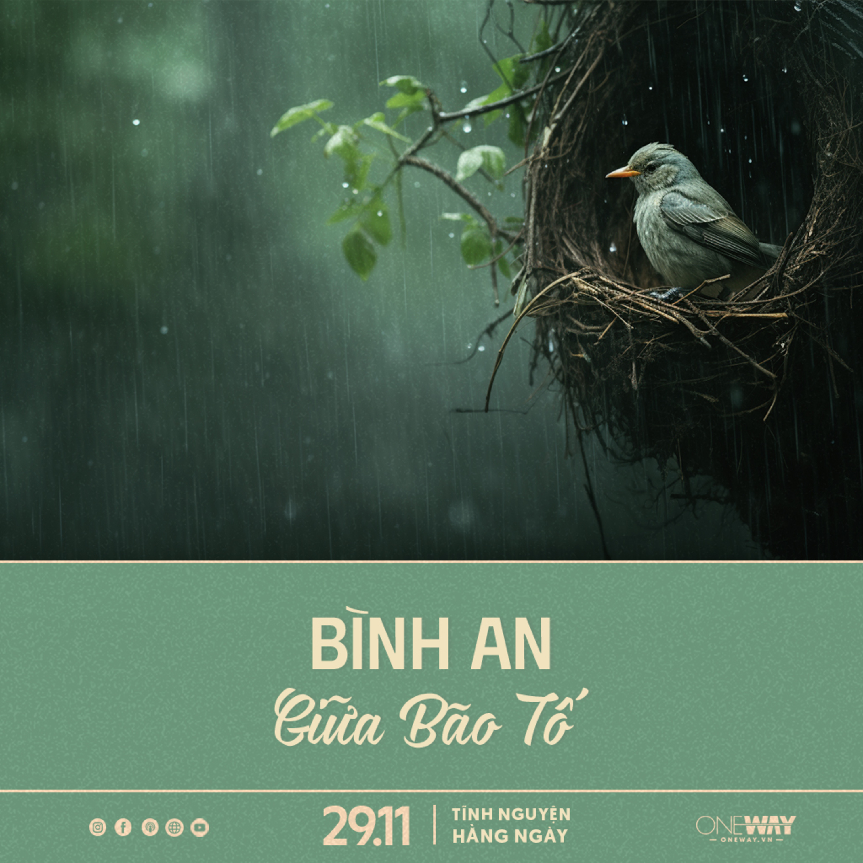 BÌNH AN GIỮA BÃO TỐ | Tĩnh Nguyện Hằng Ngày 29/11/2023 episode artwork