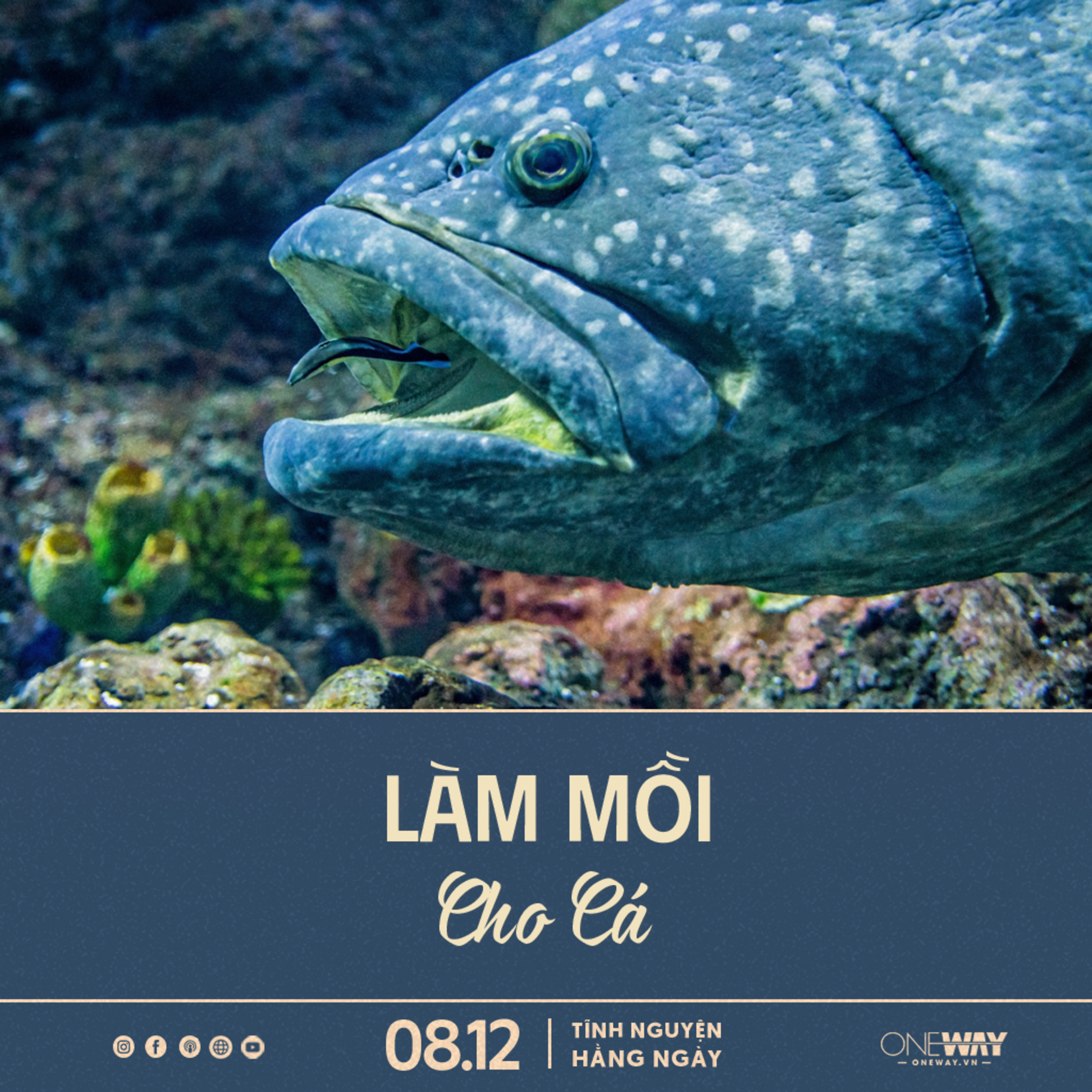 LÀM MỒI CHO CÁ | Tĩnh Nguyện Hằng Ngày 08/12/2023 episode artwork