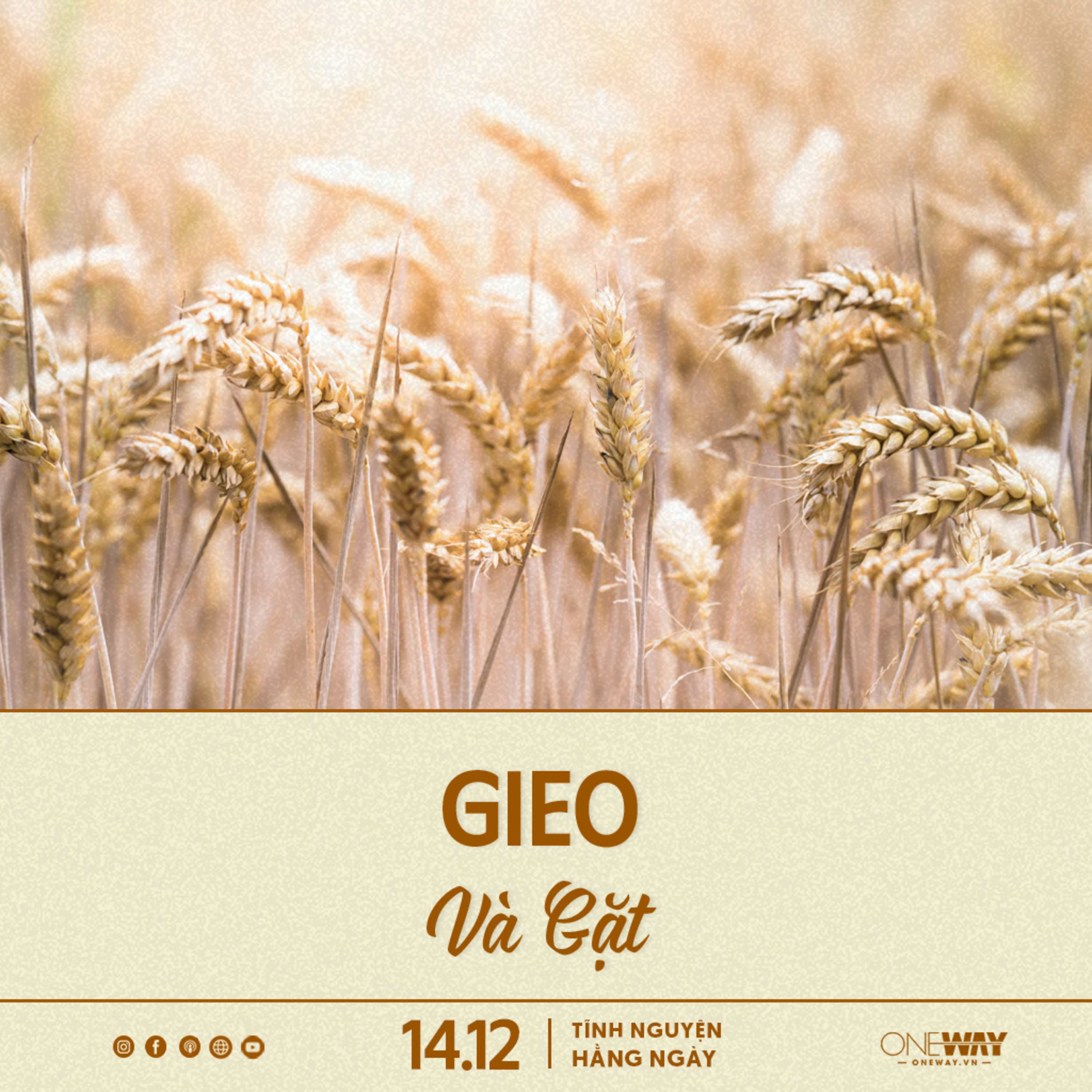GIEO VÀ GẶT | Tĩnh Nguyện Hằng Ngày 14/12/2023 episode artwork