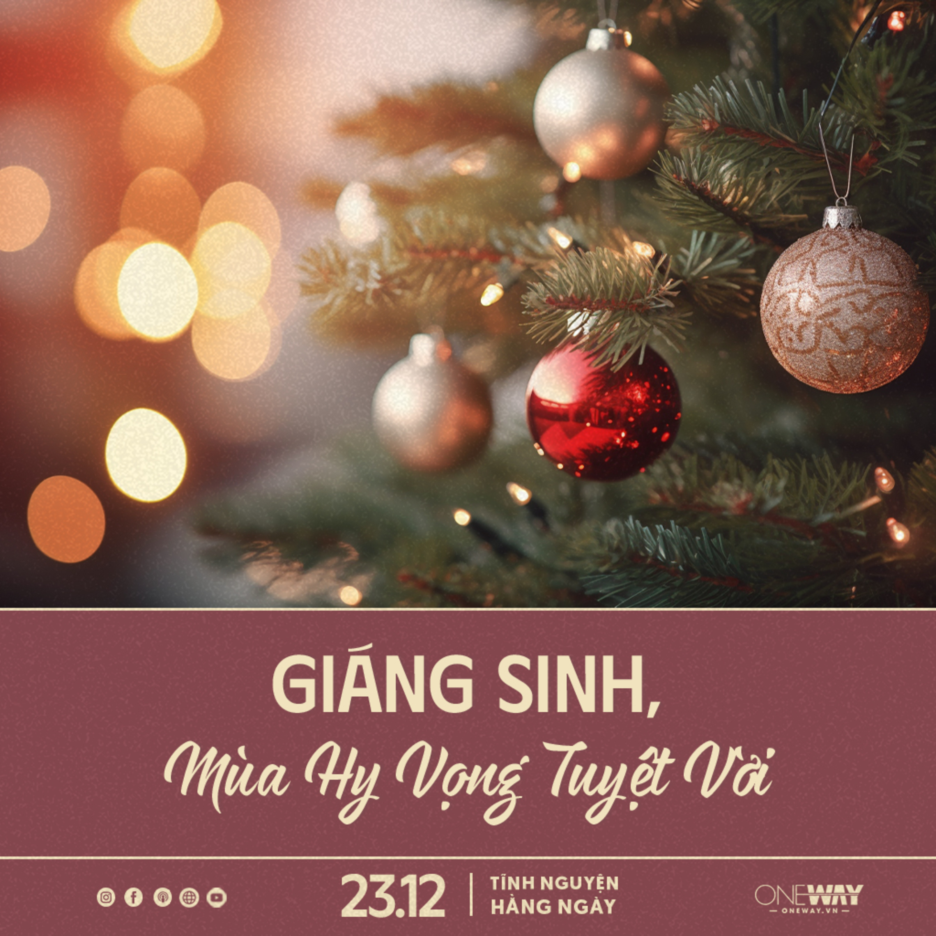 GIÁNG SINH, MÙA HY VỌNG TUYỆT VỜI | Tĩnh Nguyện Hằng Ngày 23/12/2023 episode artwork