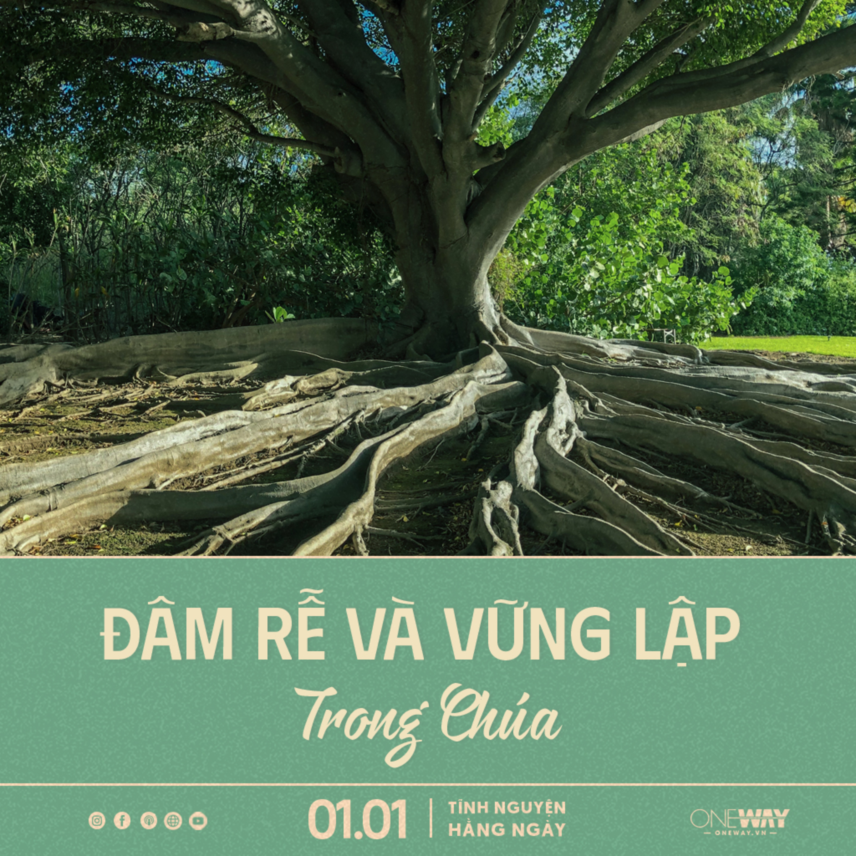 ĐÂM RỄ VÀ VỮNG LẬP TRONG CHÚA | Tĩnh Nguyện Hằng Ngày 01/01/2024 episode artwork