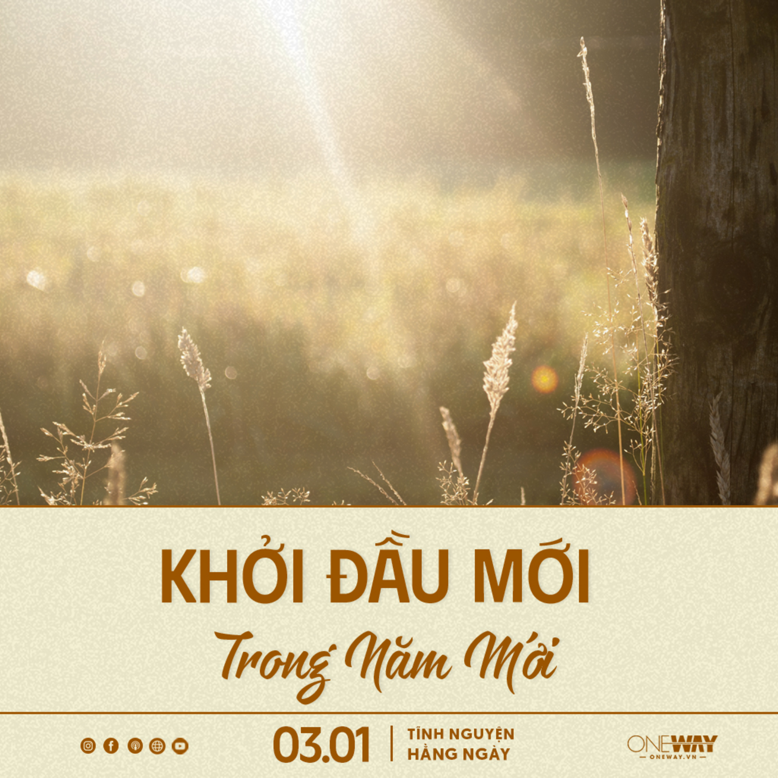 KHỞI ĐẦU MỚI TRONG NĂM MỚI | Tĩnh Nguyện Hằng Ngày 03/01/2024 episode artwork