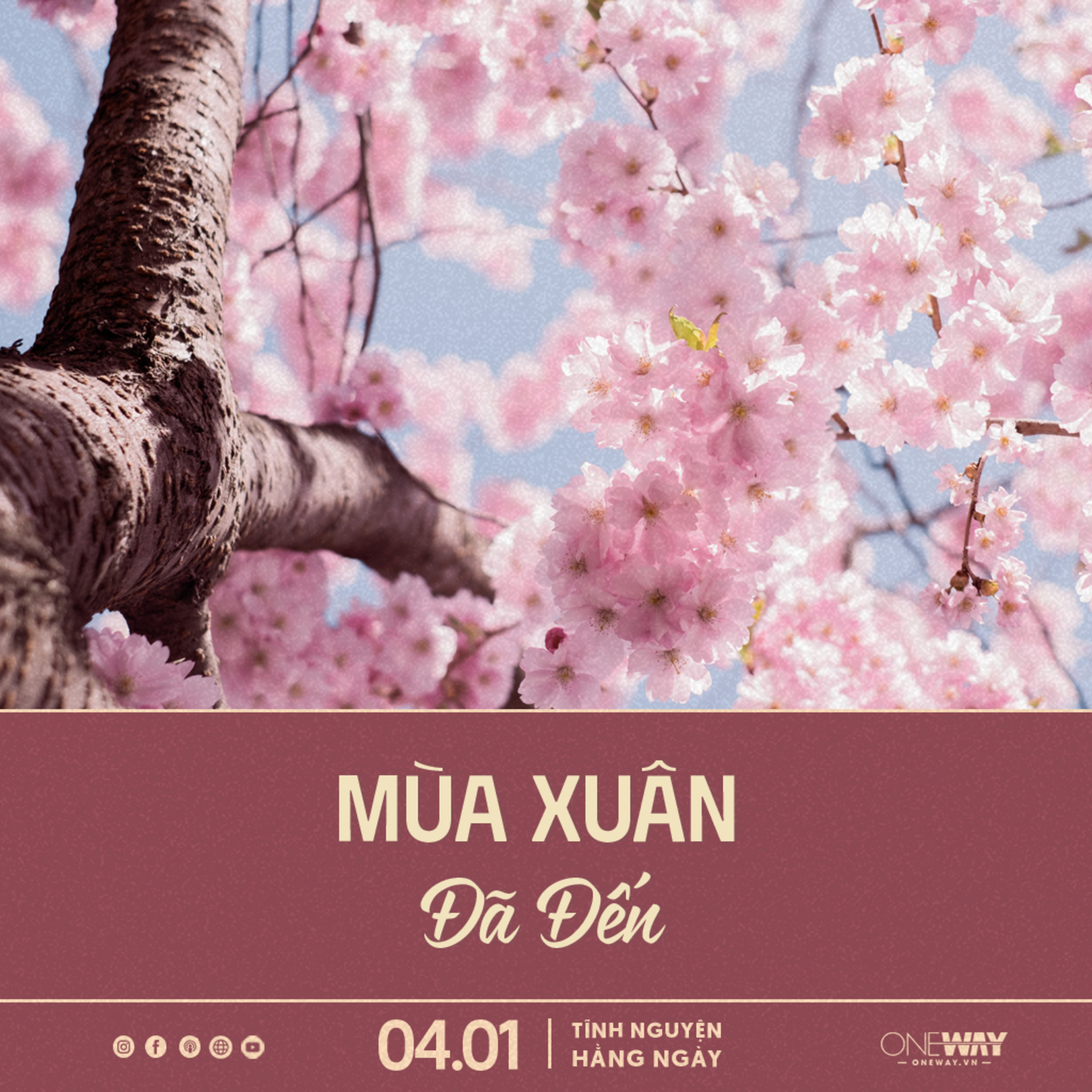 MÙA XUÂN ĐÃ ĐẾN | Tĩnh Nguyện Hằng Ngày 04/01/2024 episode artwork
