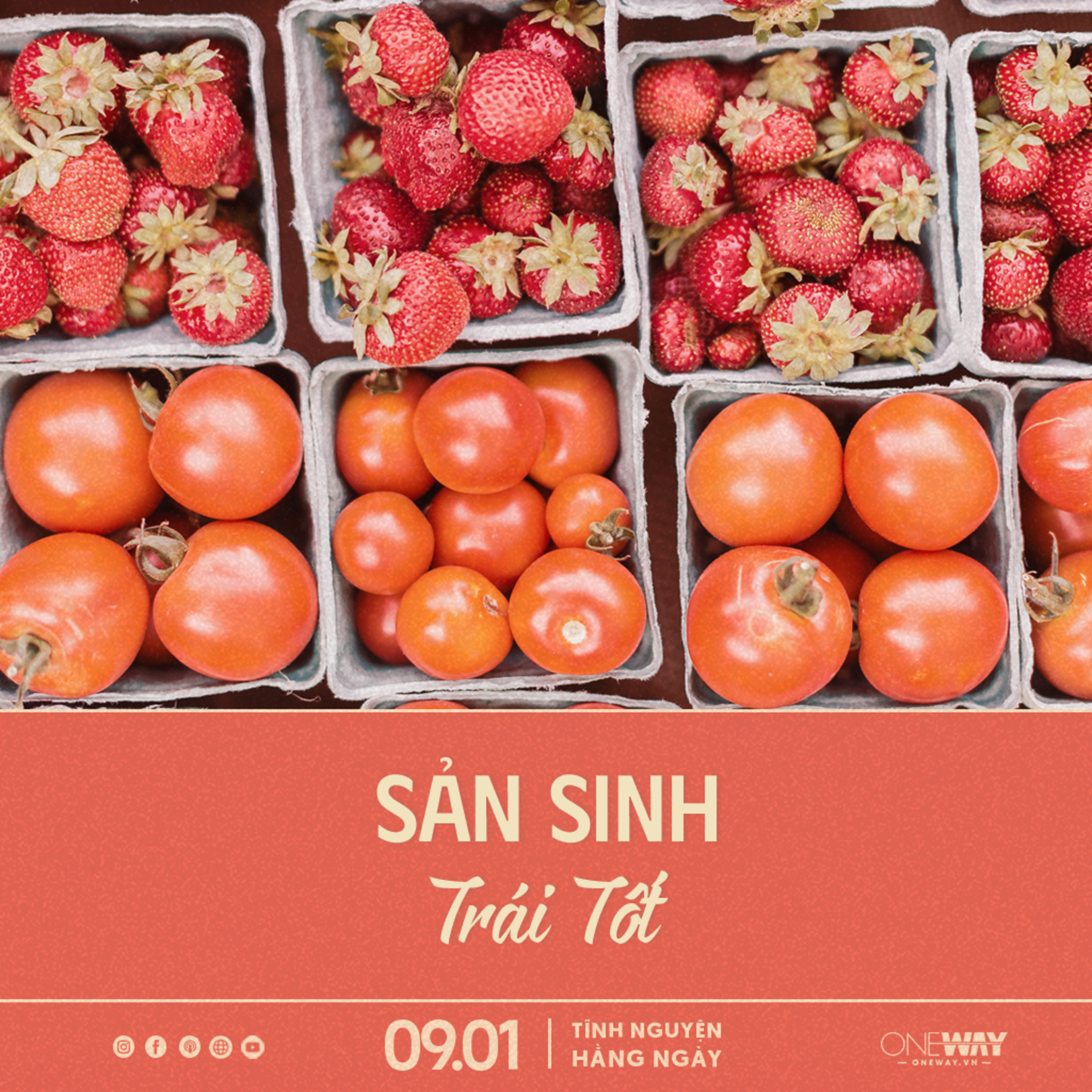 SẢN SINH TRÁI TỐT | Tĩnh Nguyện Hằng Ngày 09/01/2024 episode artwork