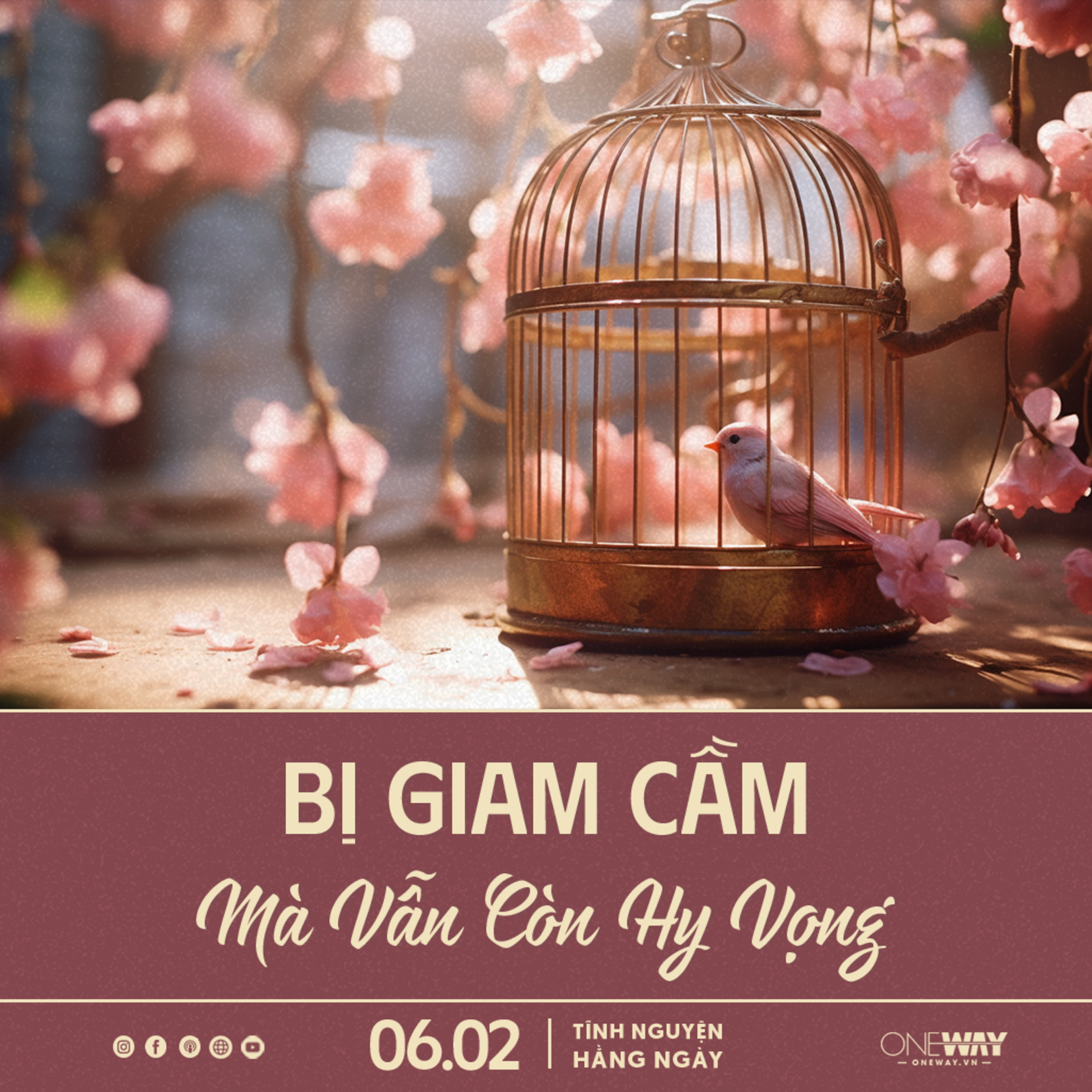 BỊ GIAM CẦM MÀ VẪN CÒN HY VỌNG | Tĩnh Nguyện Hằng Ngày 06/02/2024 episode artwork