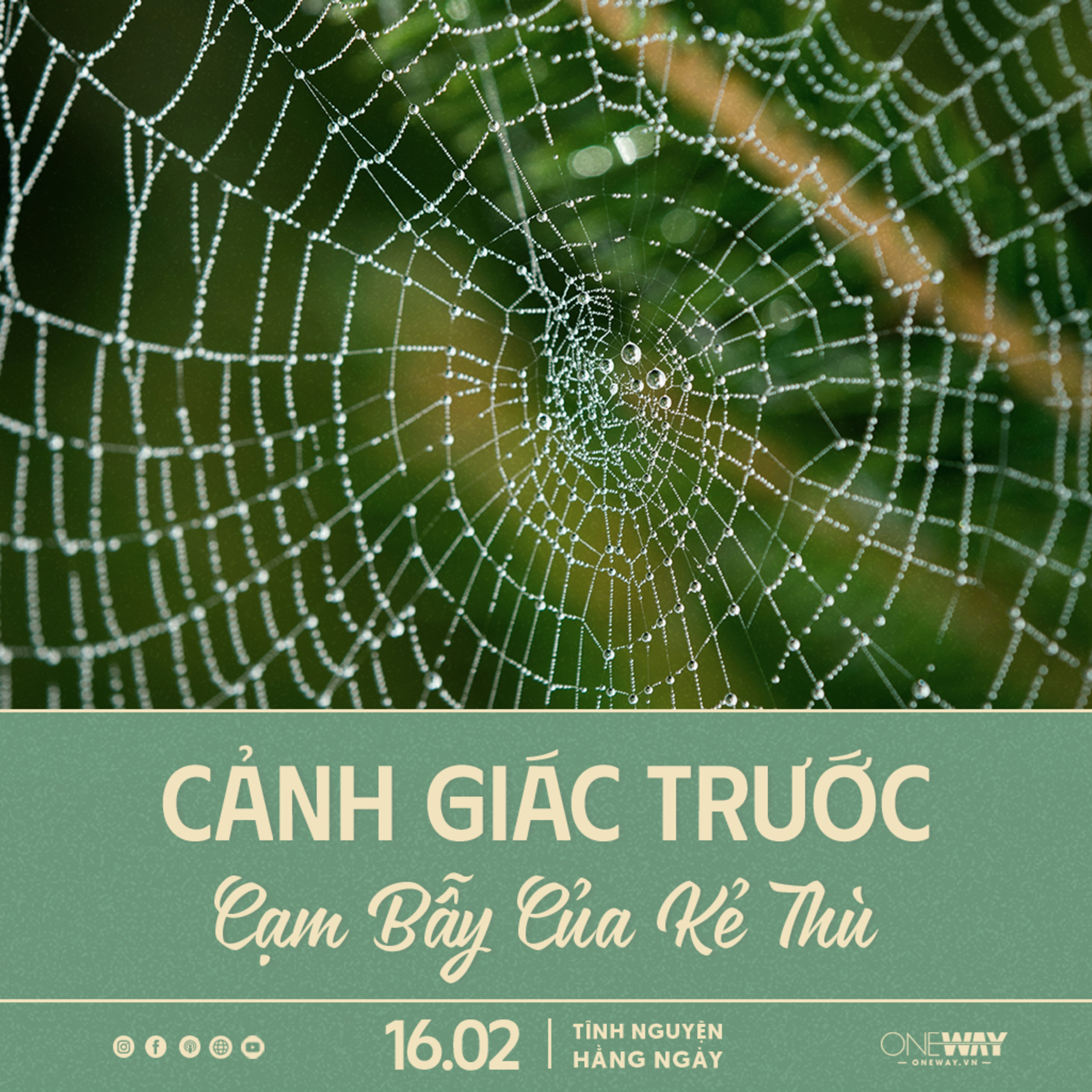 CẢNH GIÁC TRƯỚC CẠM BẪY CỦA KẺ THÙ | Tĩnh Nguyện Hằng Ngày 16/02/2024 episode artwork