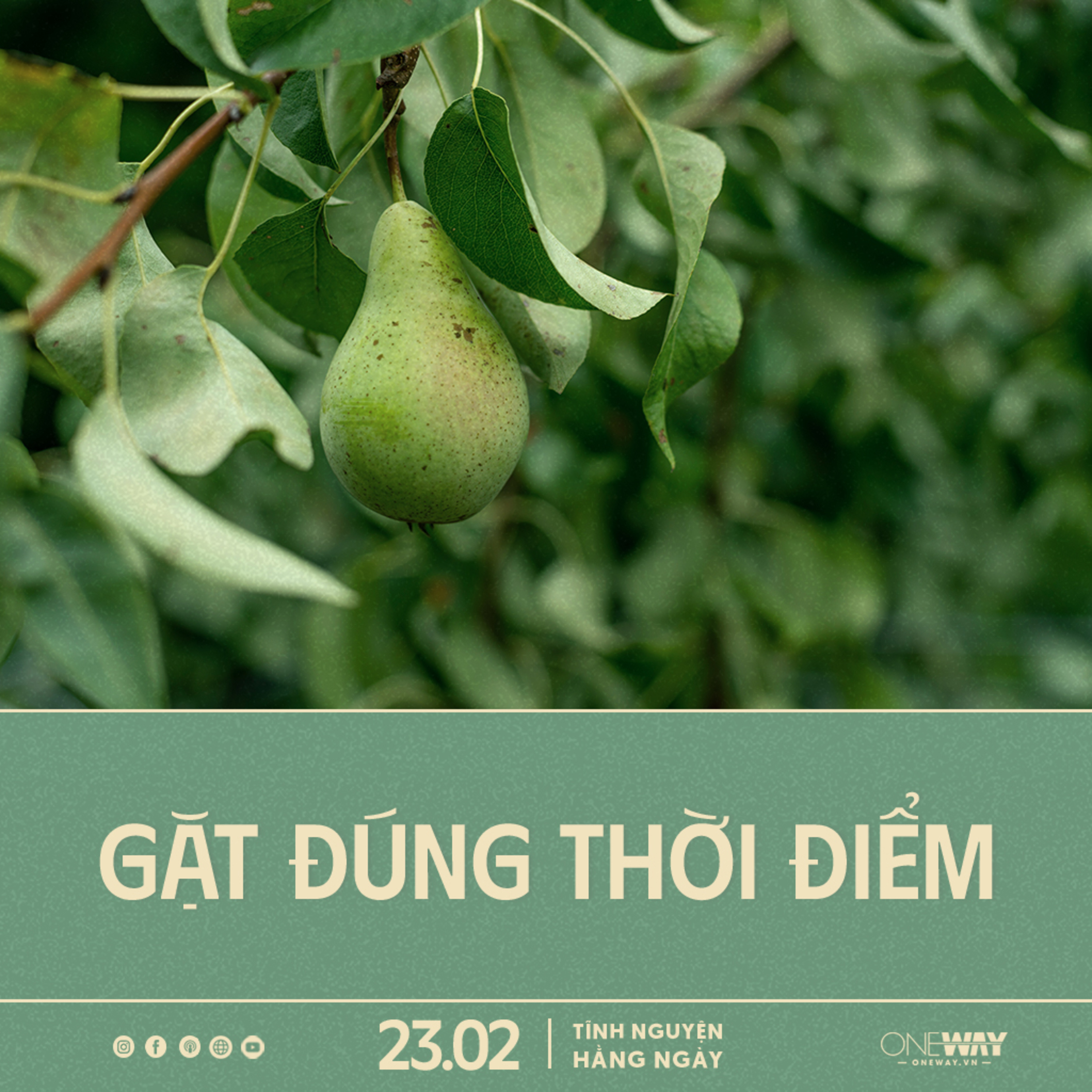 GẶT ĐÚNG THỜI ĐIỂM | Tĩnh Nguyện Hằng Ngày 23/02/2024 episode artwork