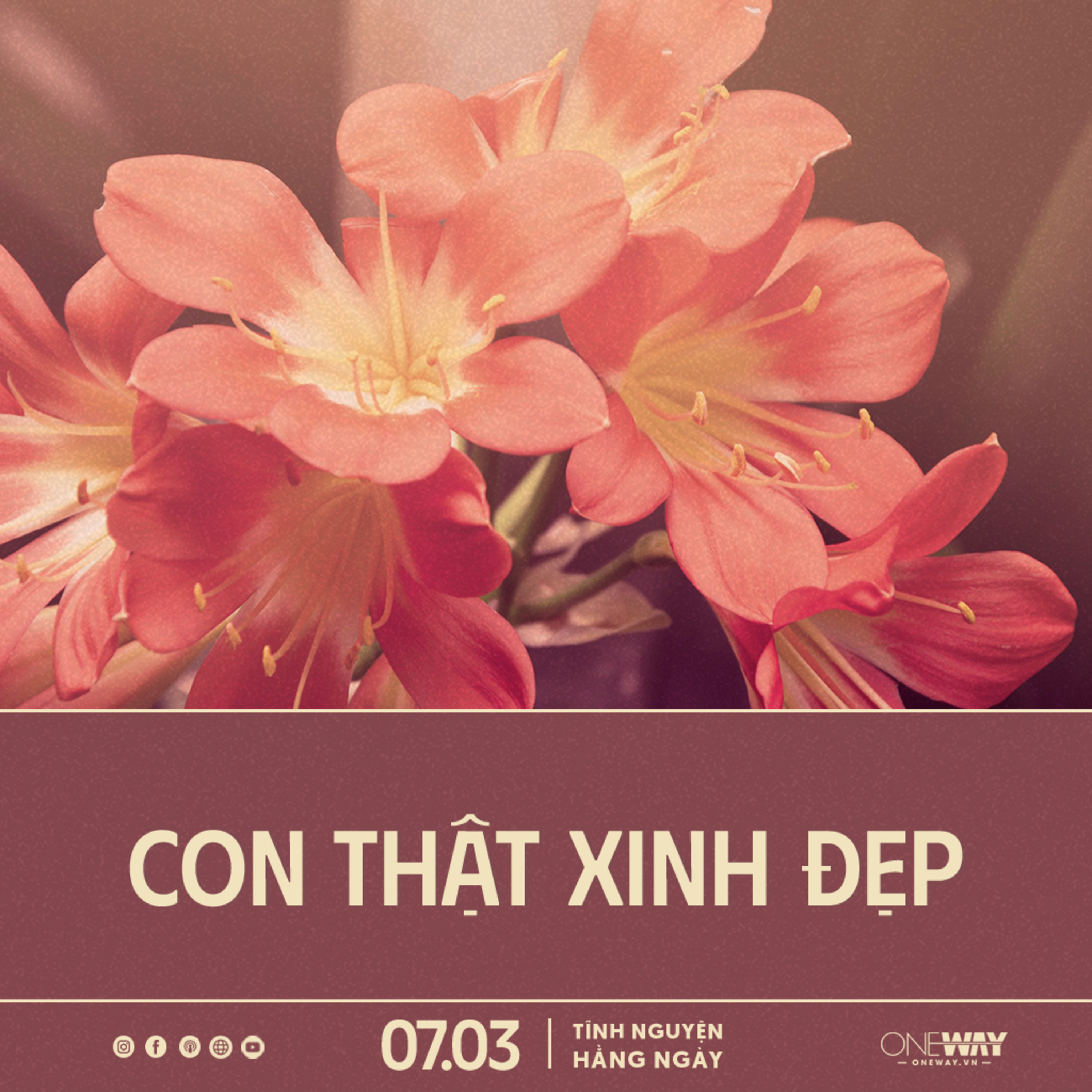 CON THẬT XINH ĐẸP | Tĩnh Nguyện Hằng Ngày 07/03/2024 episode artwork