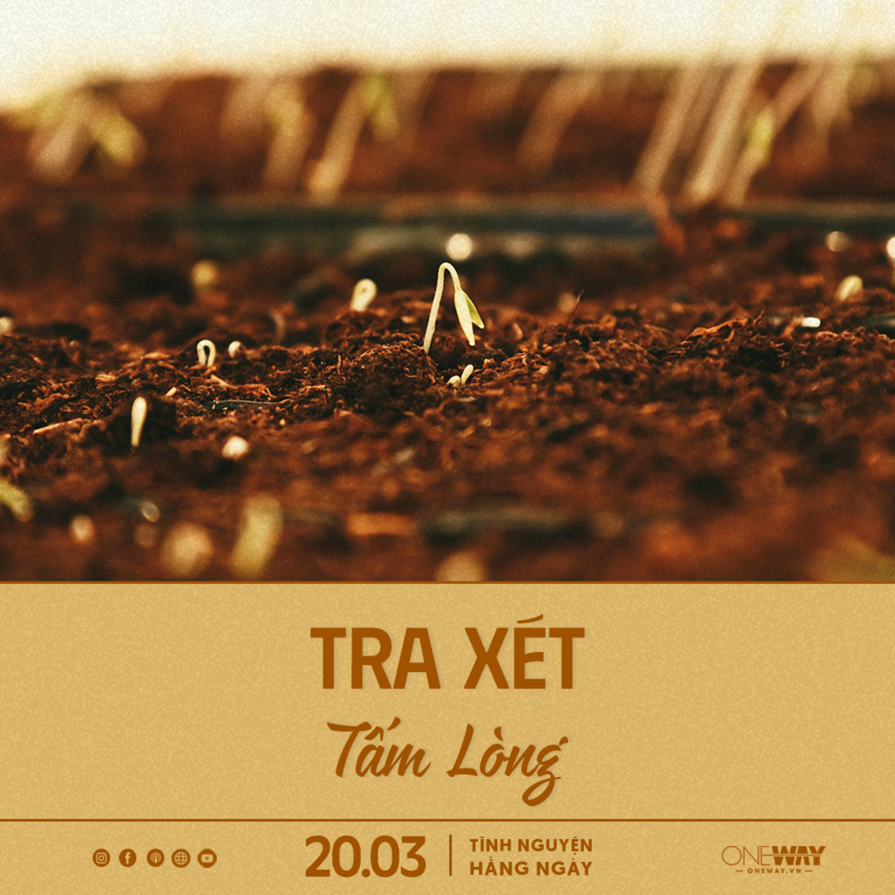 TRA XÉT TẤM LÒNG | Tĩnh Nguyện Hằng Ngày 20/03/2024 episode artwork