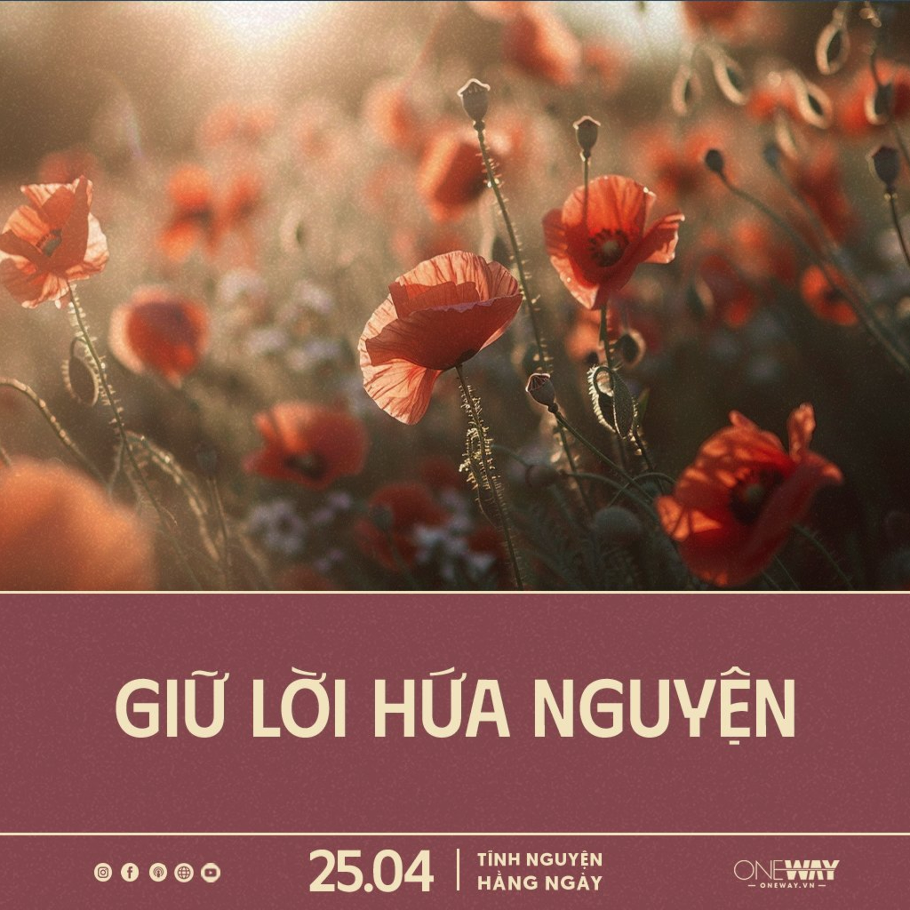 GIỮ LỜI HỨA NGUYỆN | Tĩnh Nguyện Hằng Ngày 25/04/2024 episode artwork