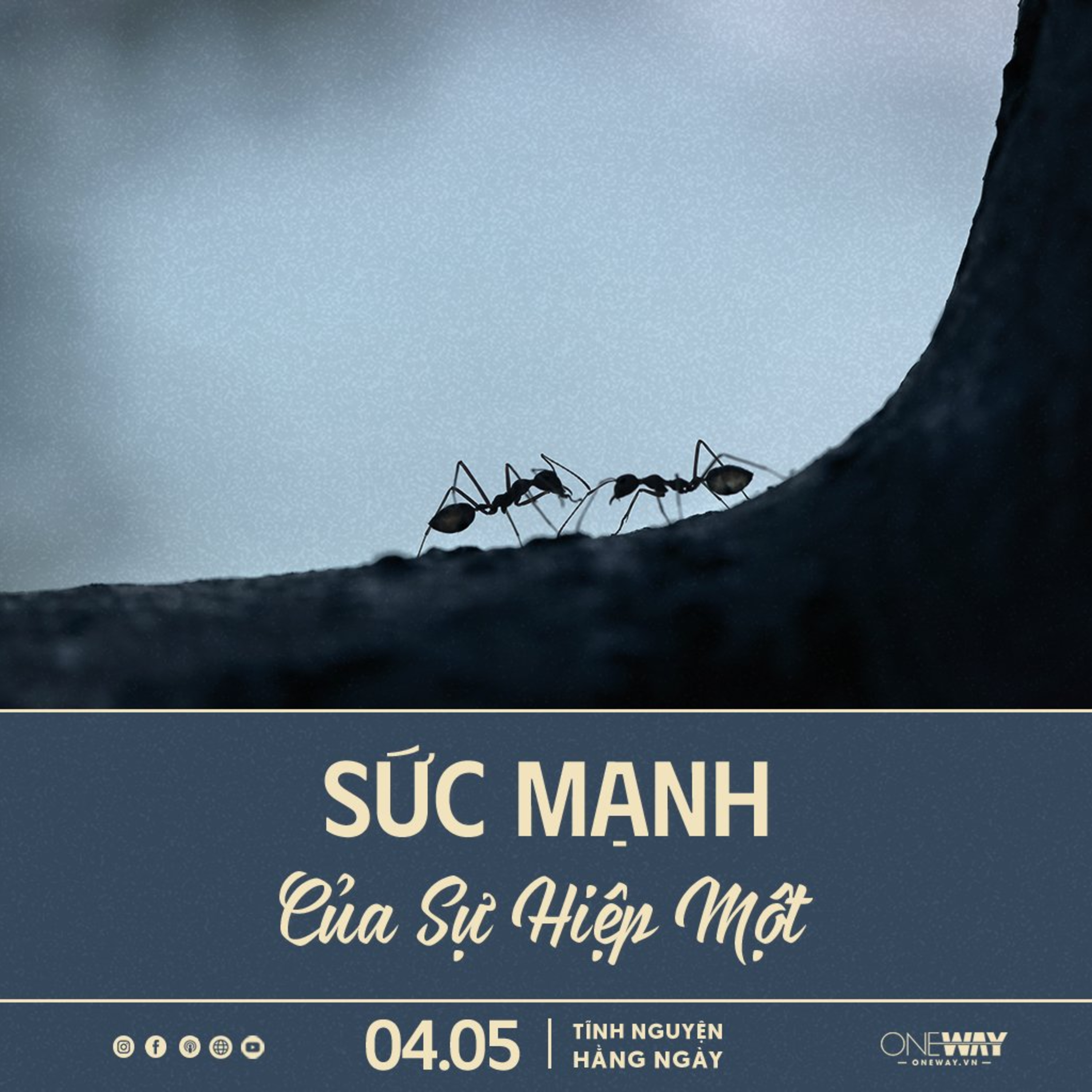 SỨC MẠNH CỦA SỰ HIỆP MỘT | Tĩnh Nguyện Hằng Ngày 04/05/2024 episode artwork
