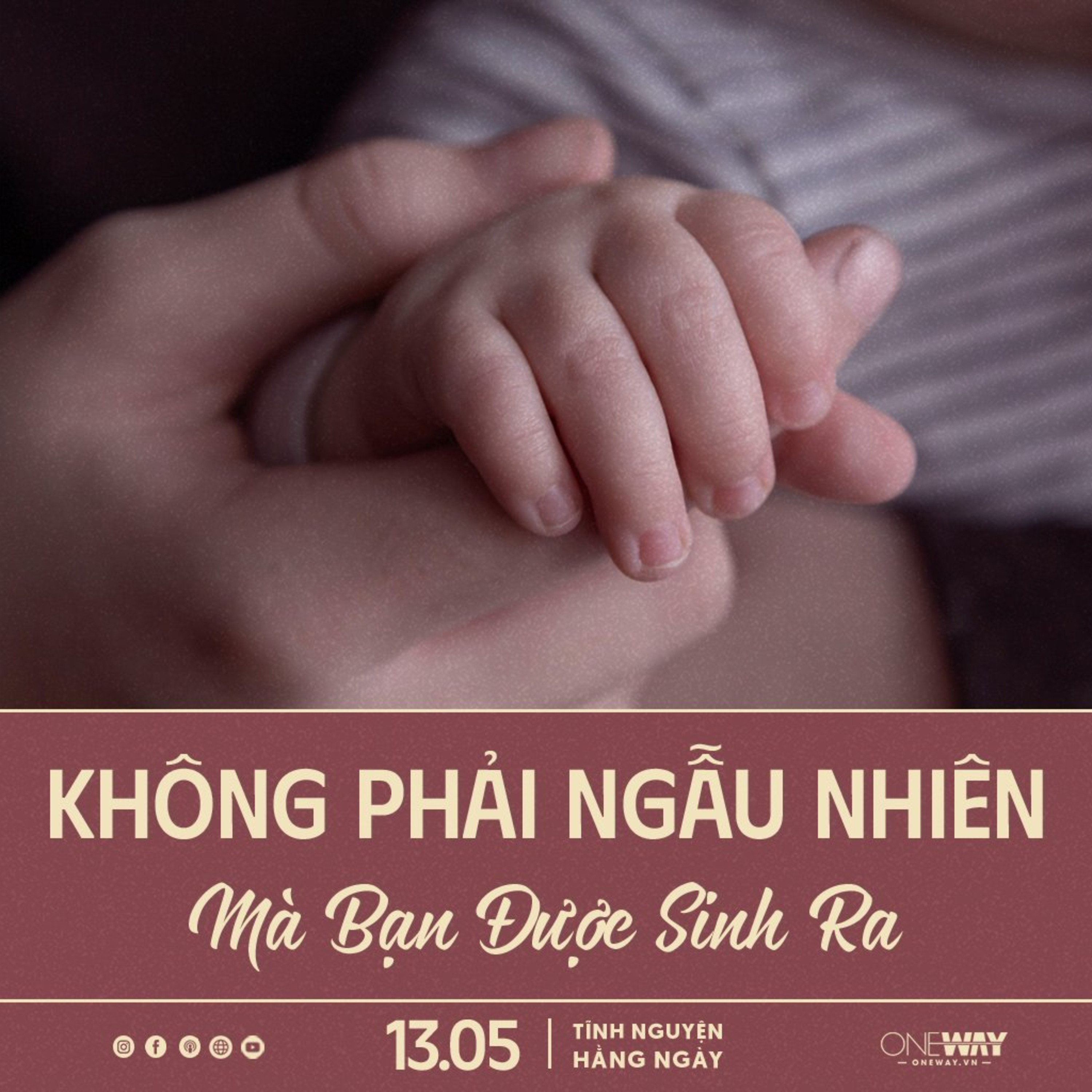 KHÔNG PHẢI NGẪU NHIÊN MÀ BẠN ĐƯỢC SINH RA | Tĩnh Nguyện Hằng Ngày 13/05/2024 episode artwork