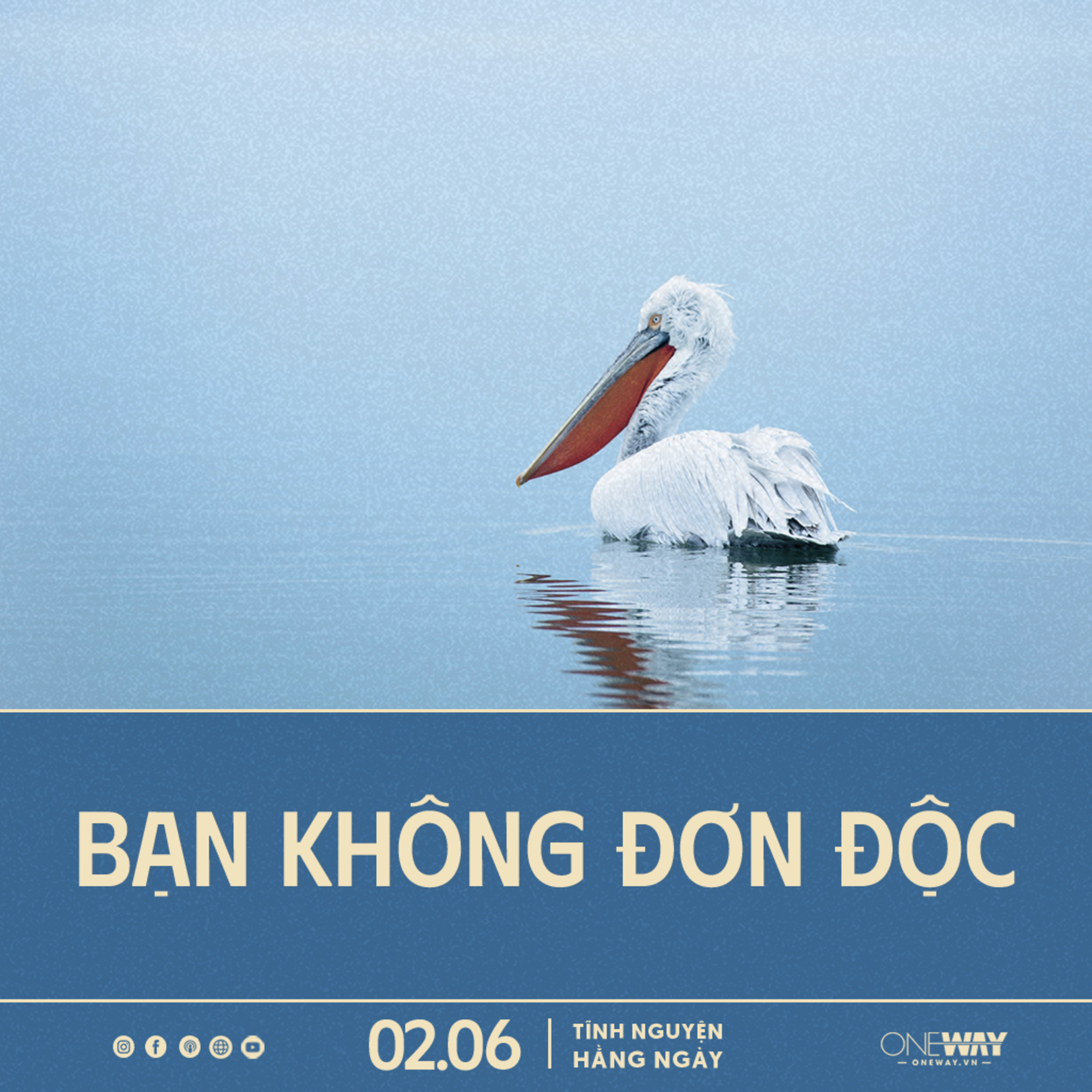 BẠN KHÔNG ĐƠN ĐỘC | Tĩnh Nguyện Hằng Ngày 02/06/2024 episode artwork