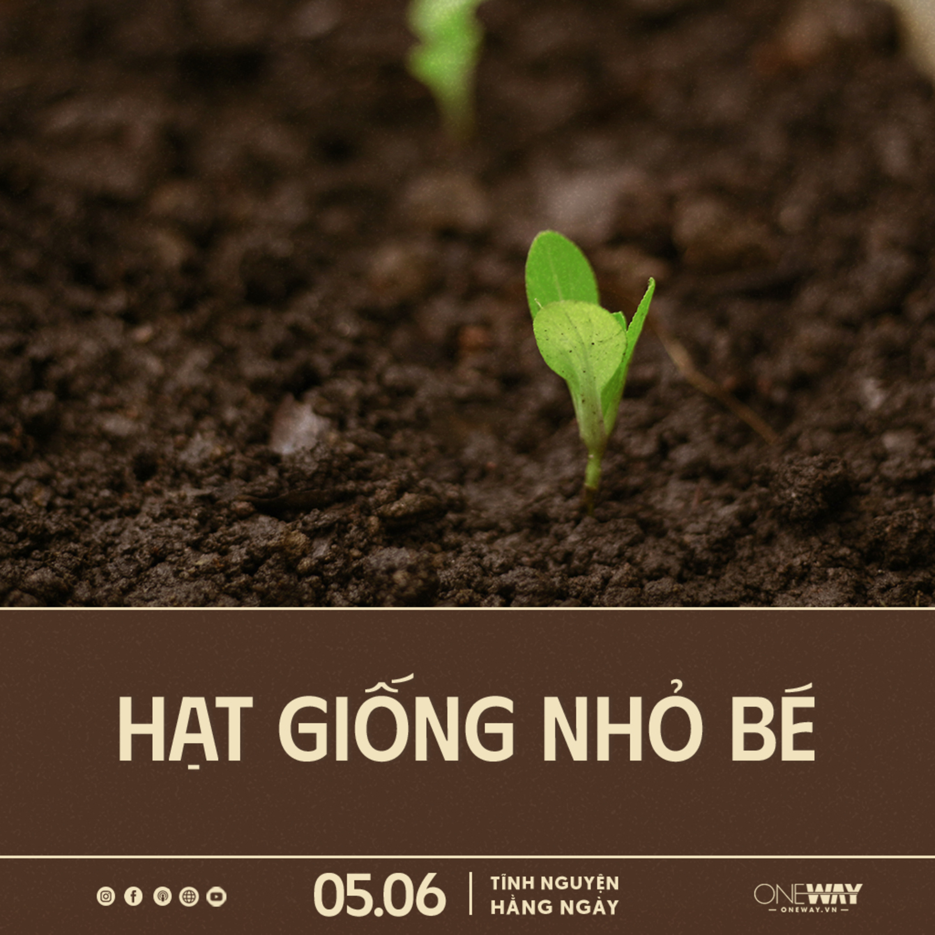 HẠT GIỐNG NHỎ BÉ | Tĩnh Nguyện Hằng Ngày 05/06/2024 episode artwork