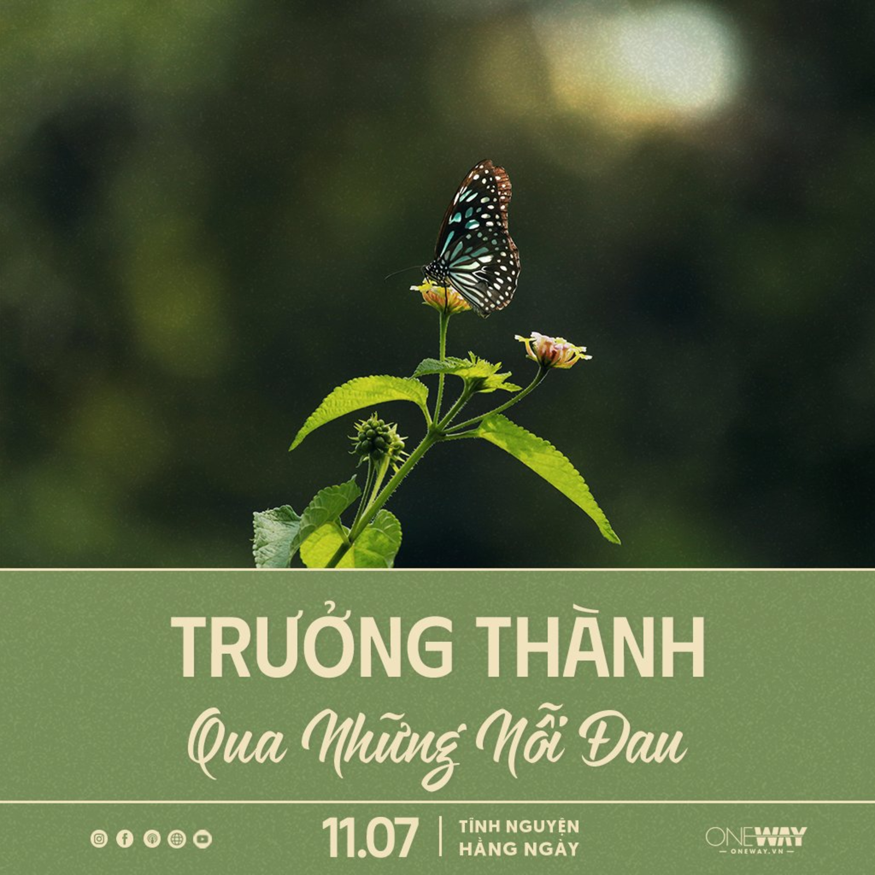TRƯỞNG THÀNH QUA NHỮNG NỖI ĐAU | Tĩnh Nguyện Hằng Ngày 11/07/2024 episode artwork