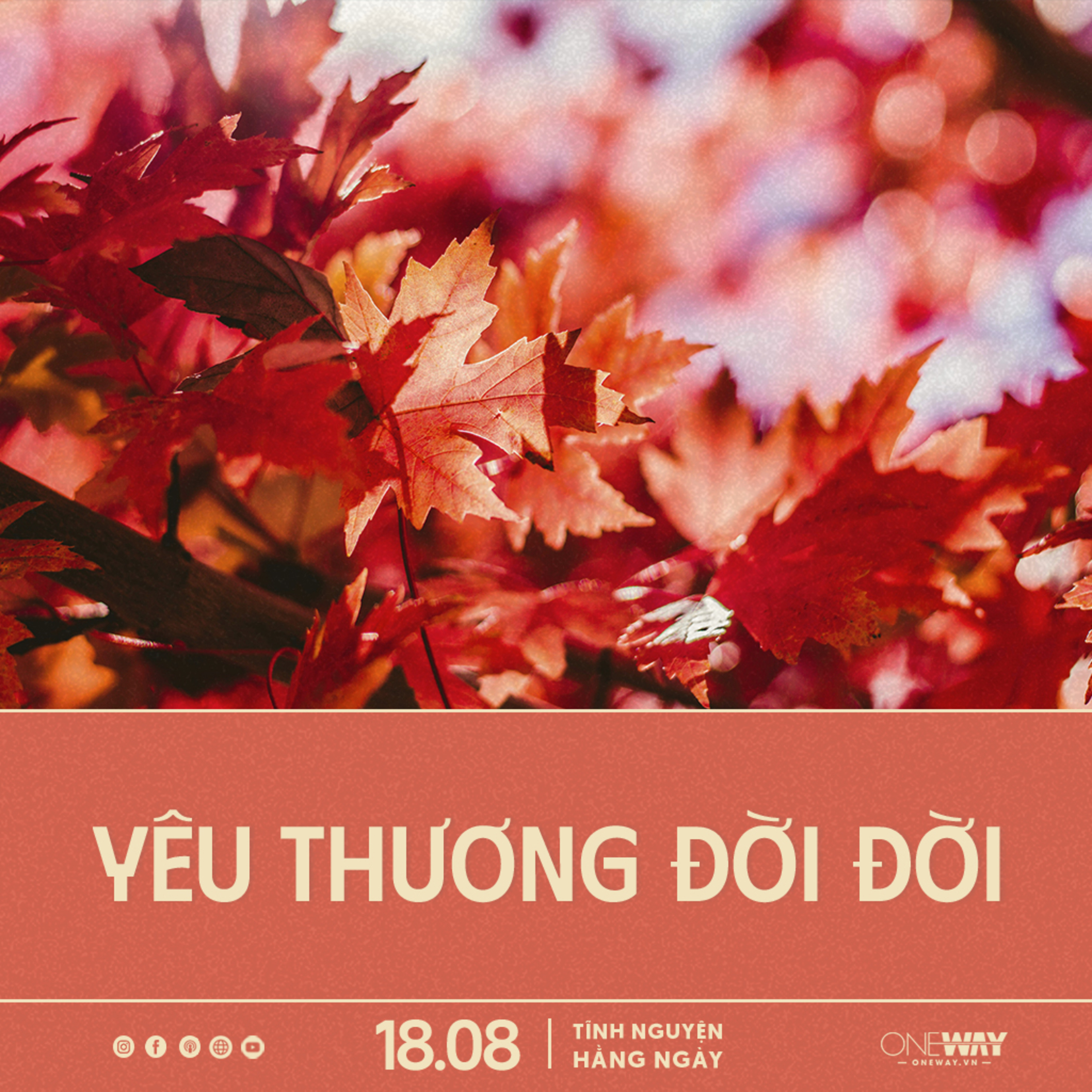 YÊU THƯƠNG ĐỜI ĐỜI | Tĩnh Nguyện Hằng Ngày 18/08/2024 episode artwork