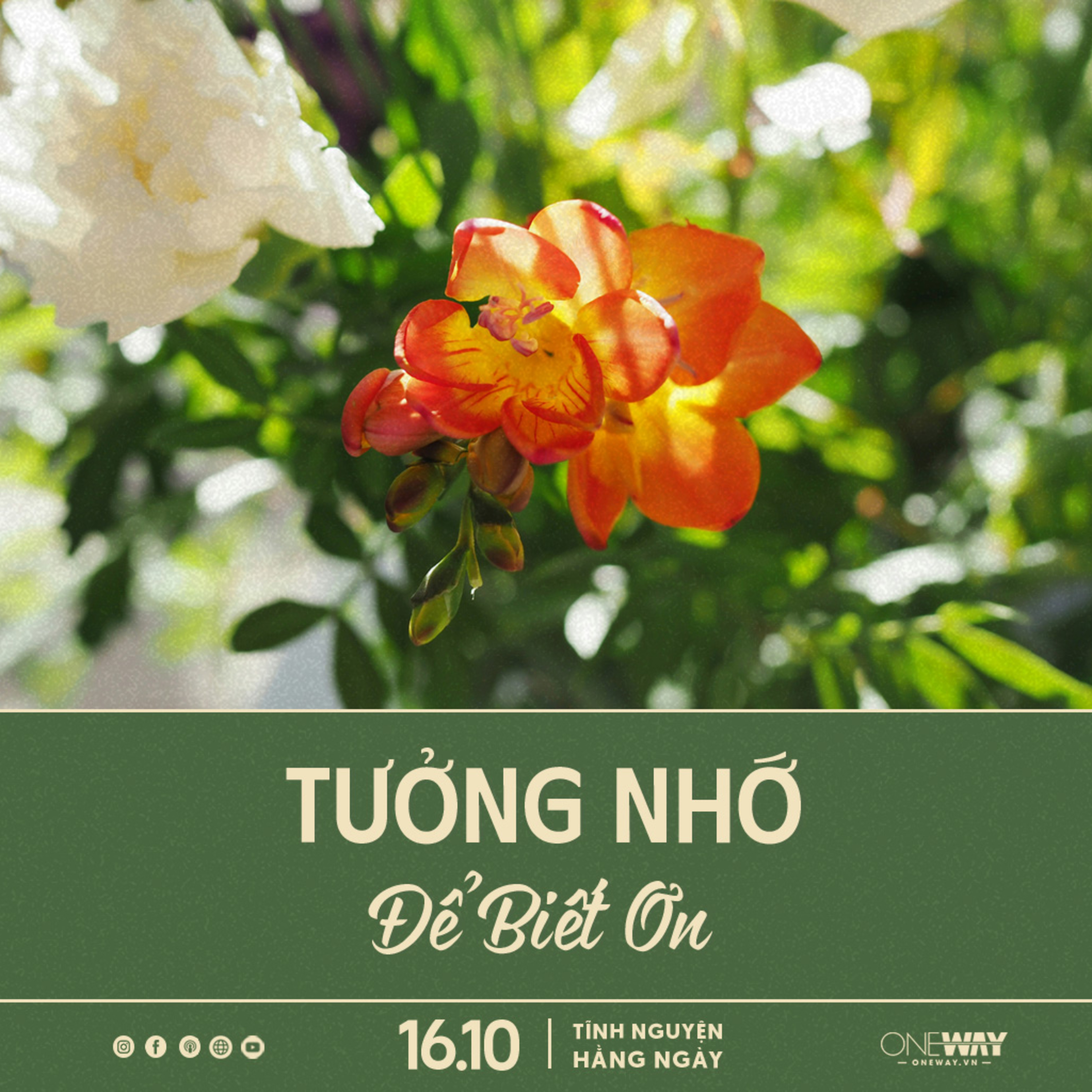TƯỞNG NHỚ ĐỂ BIẾT ƠN | Tĩnh Nguyện Hằng Ngày 16/10/2024 episode artwork