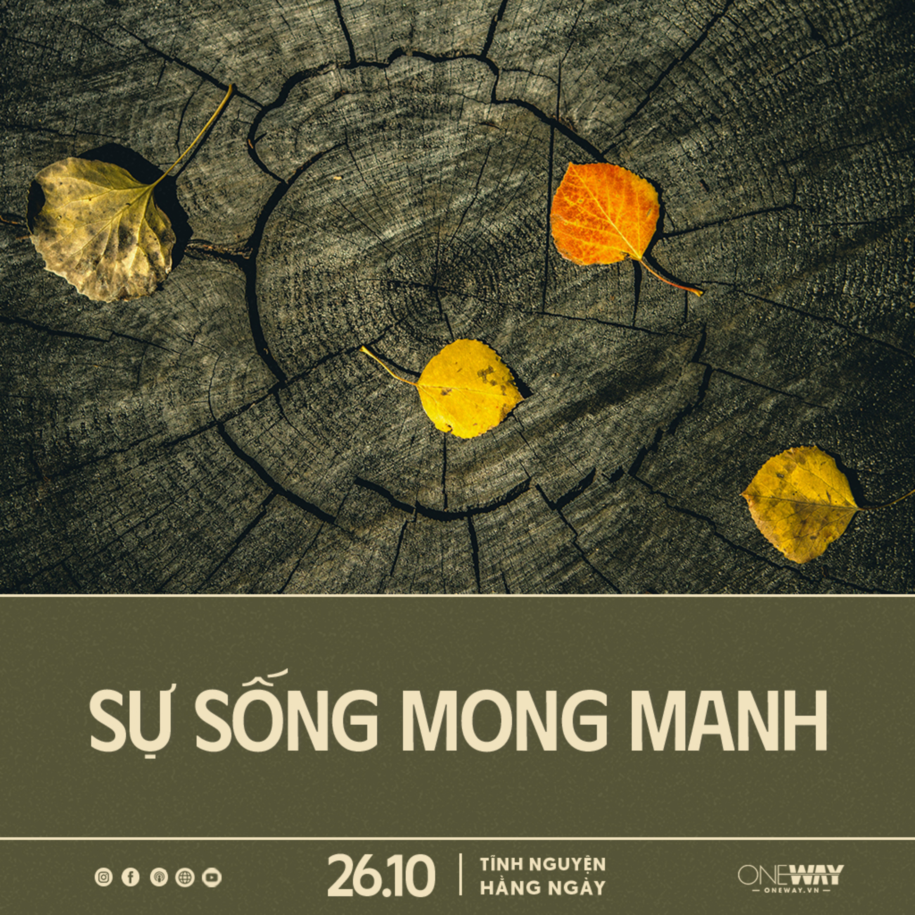 Oneway Radio - Tĩnh Nguyện Hằng Ngày