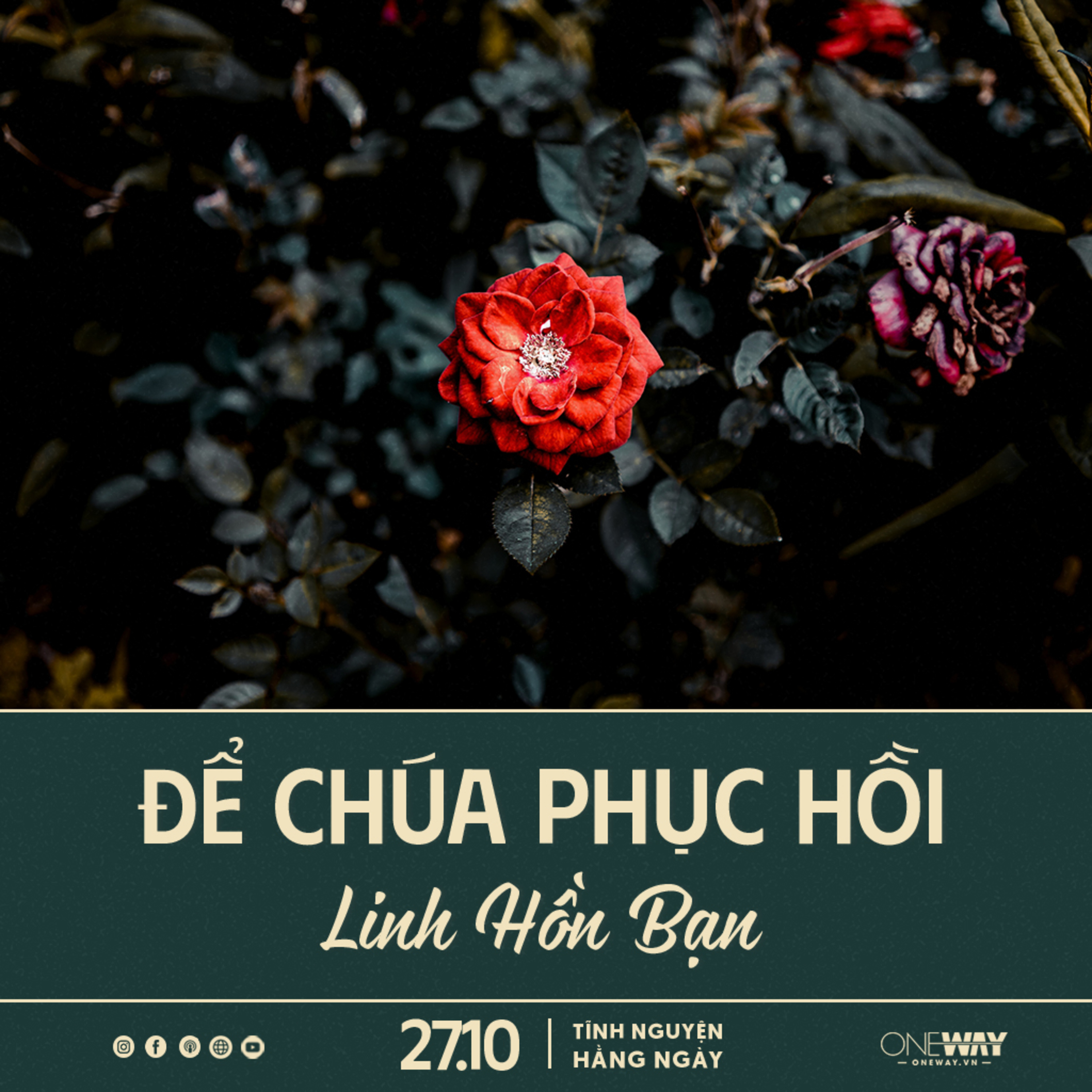 ĐỂ CHÚA PHỤC HỒI LINH HỒN BẠN | Tĩnh Nguyện Hằng Ngày 27/10/2024 episode artwork