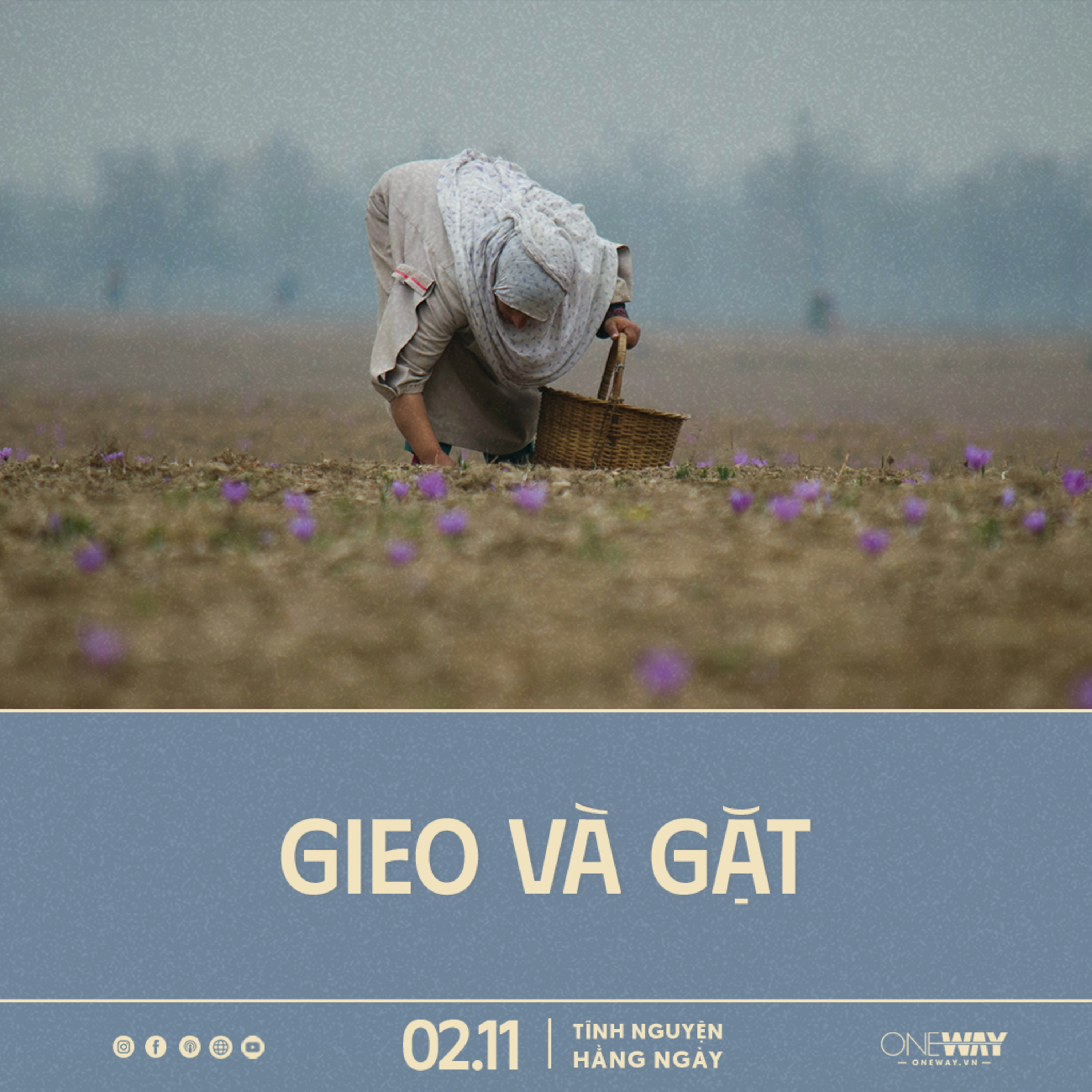 GIEO VÀ GẶT | Tĩnh Nguyện Hằng Ngày 02/11/2024 episode artwork