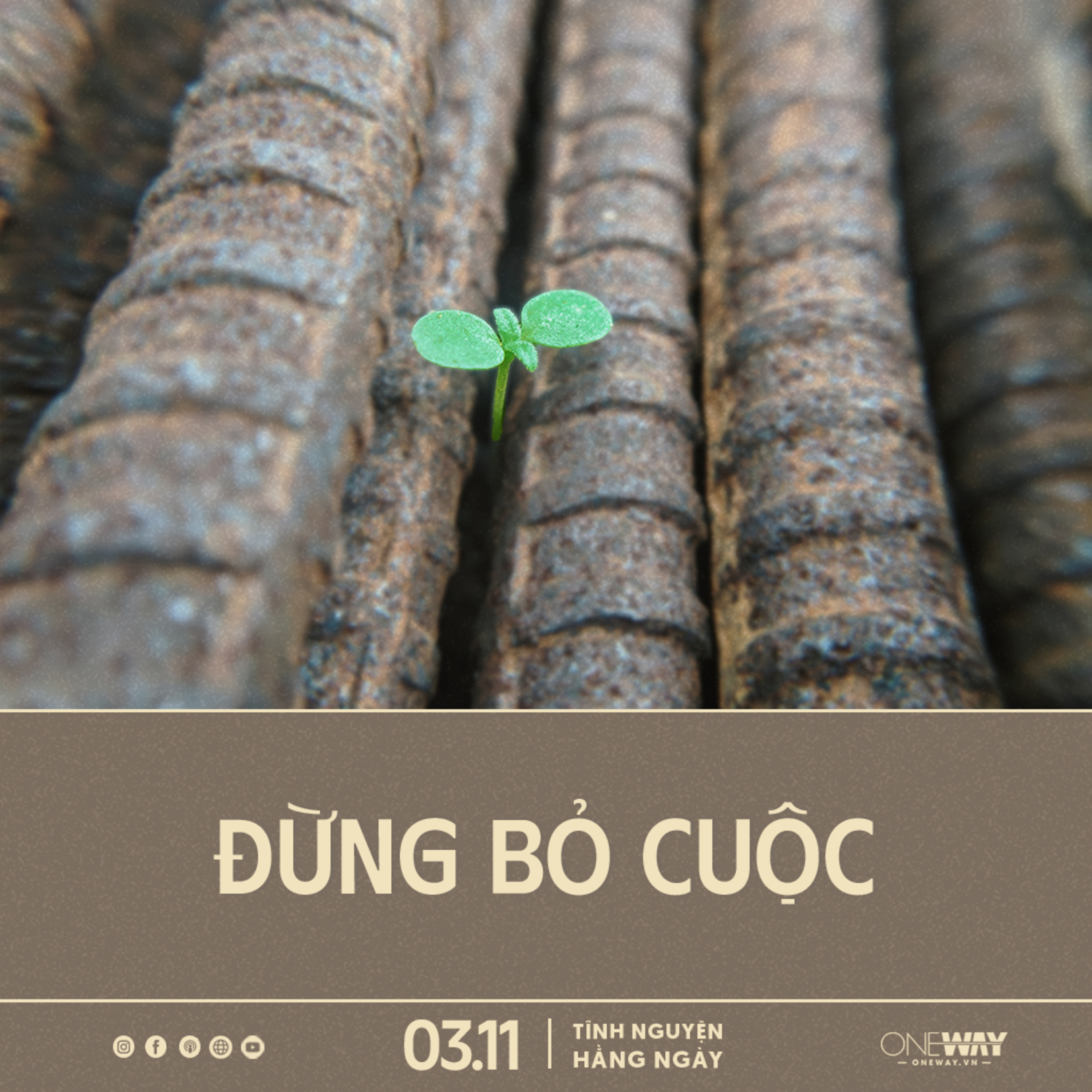 ĐỪNG BỎ CUỘC | Tĩnh Nguyện Hằng Ngày 03/11/2024 episode artwork