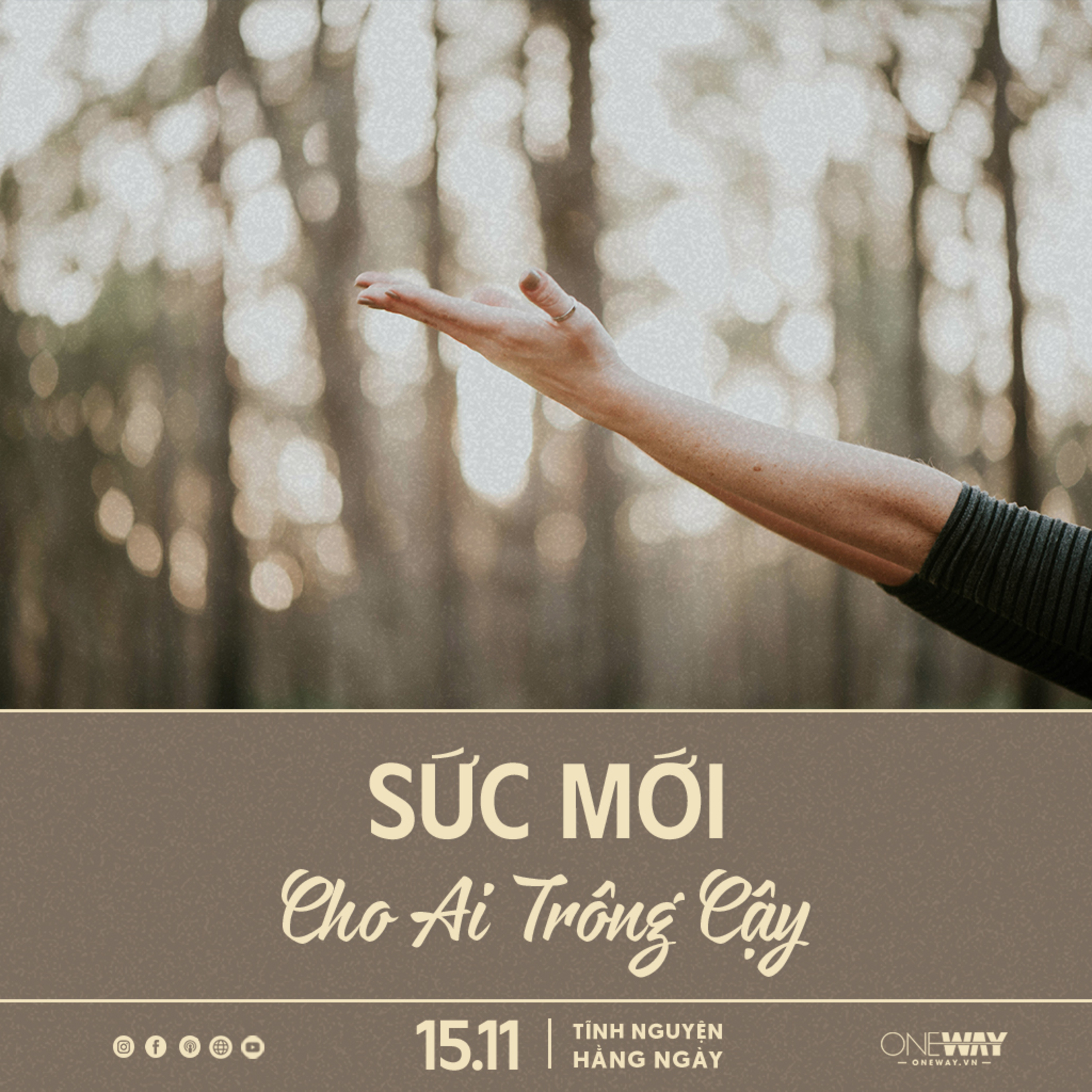 SỨC MỚI CHO AI TRÔNG CẬY | Tĩnh Nguyện Hằng Ngày 15/11/2024 episode artwork