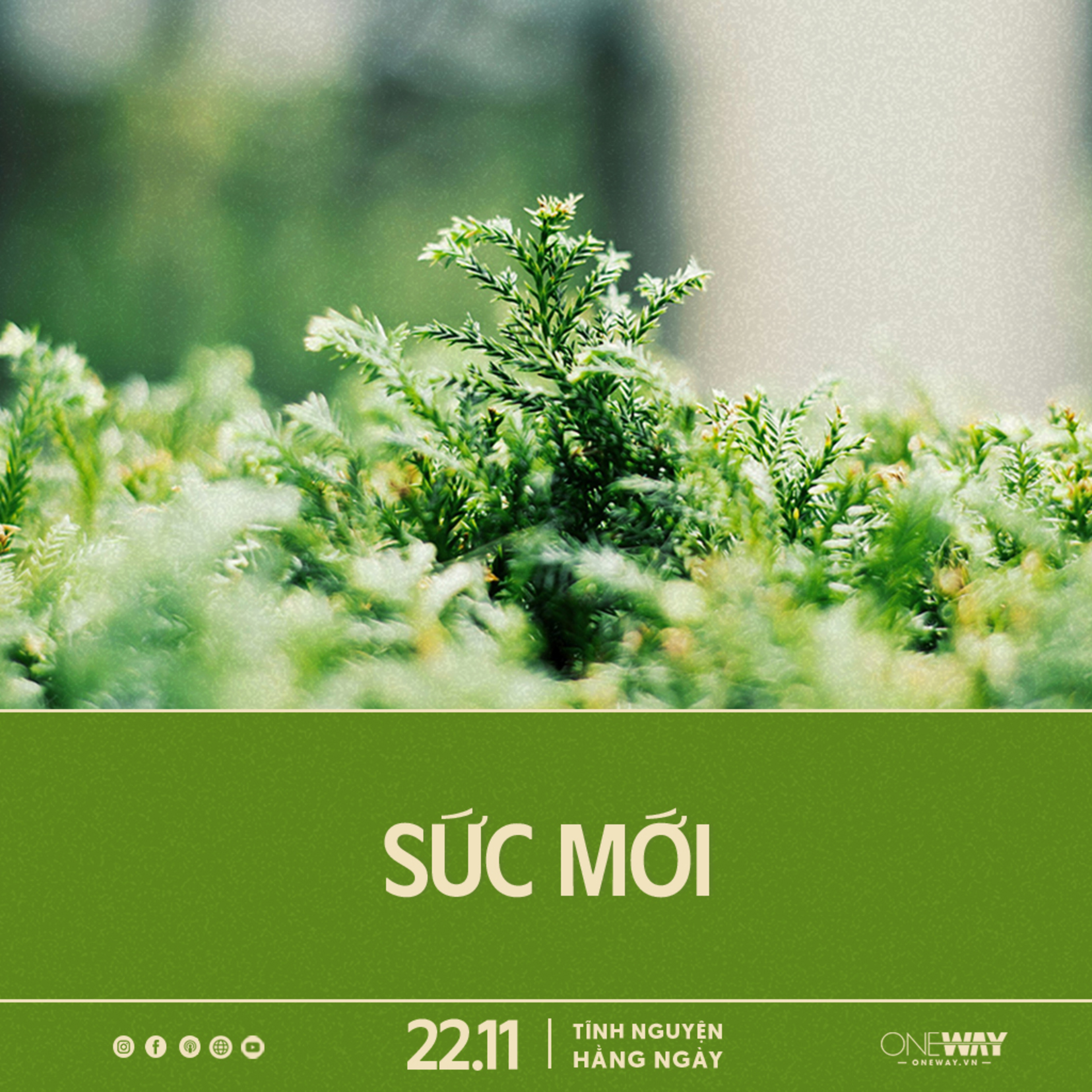 SỨC MỚI | Tĩnh Nguyện Hằng Ngày 22/11/2024 episode artwork