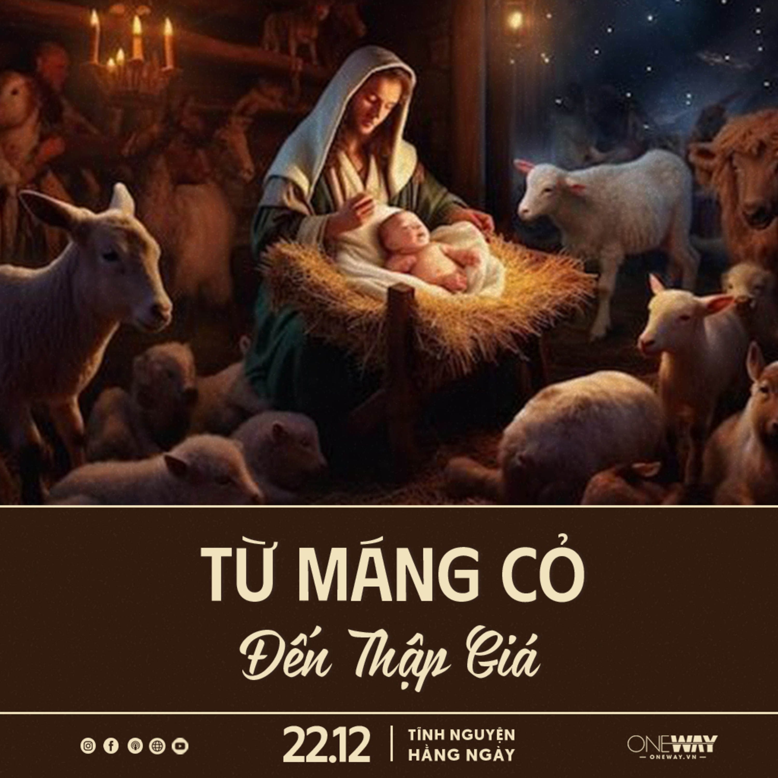 TỪ MÁNG CỎ ĐẾN THẬP TỰ GIÁ | Tĩnh Nguyện Hằng Ngày 22/12/2024 episode artwork
