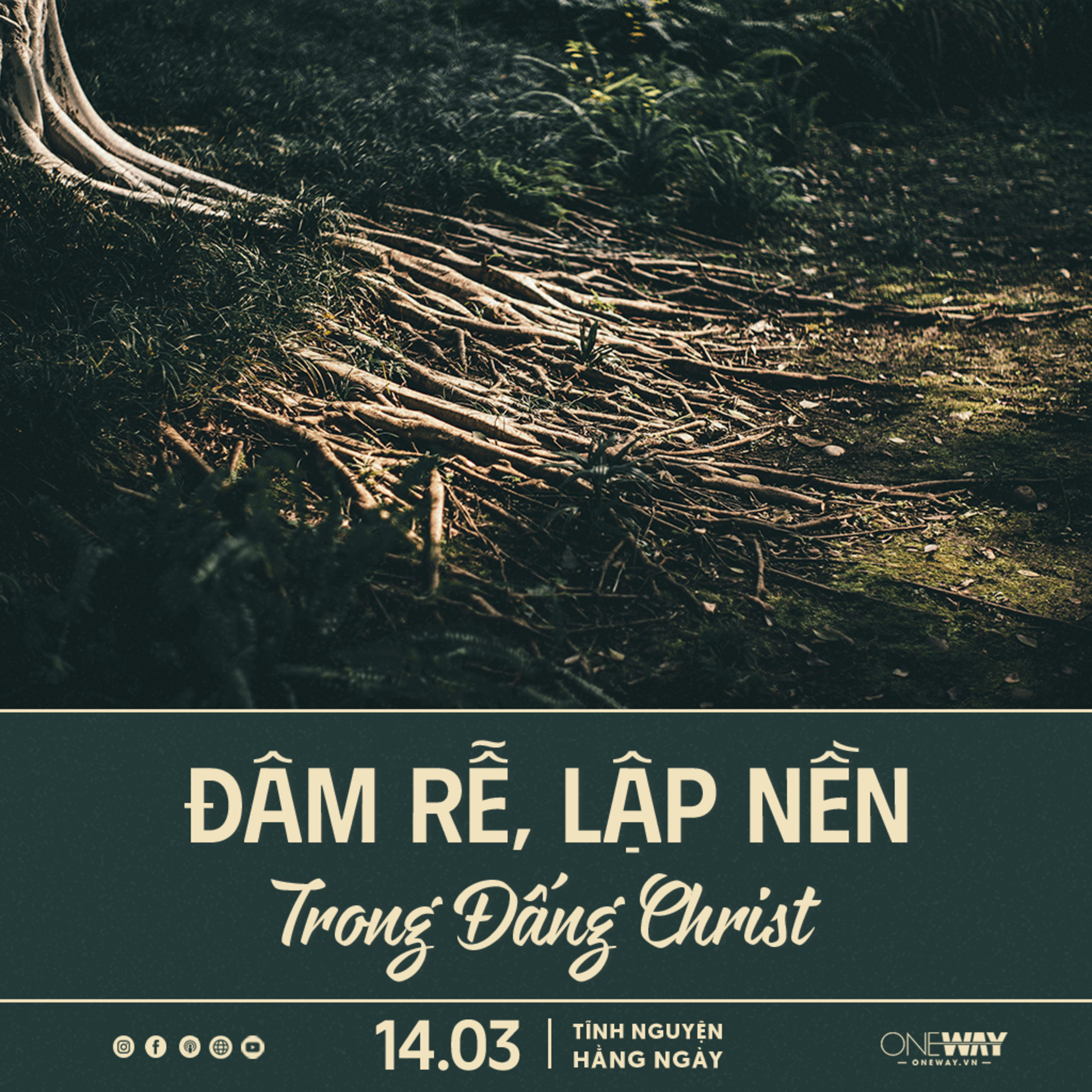 ĐÂM RỄ, LẬP NỀN TRONG ĐẤNG CHRIST | Tĩnh Nguyện Hằng Ngày 14/03/2025 episode artwork