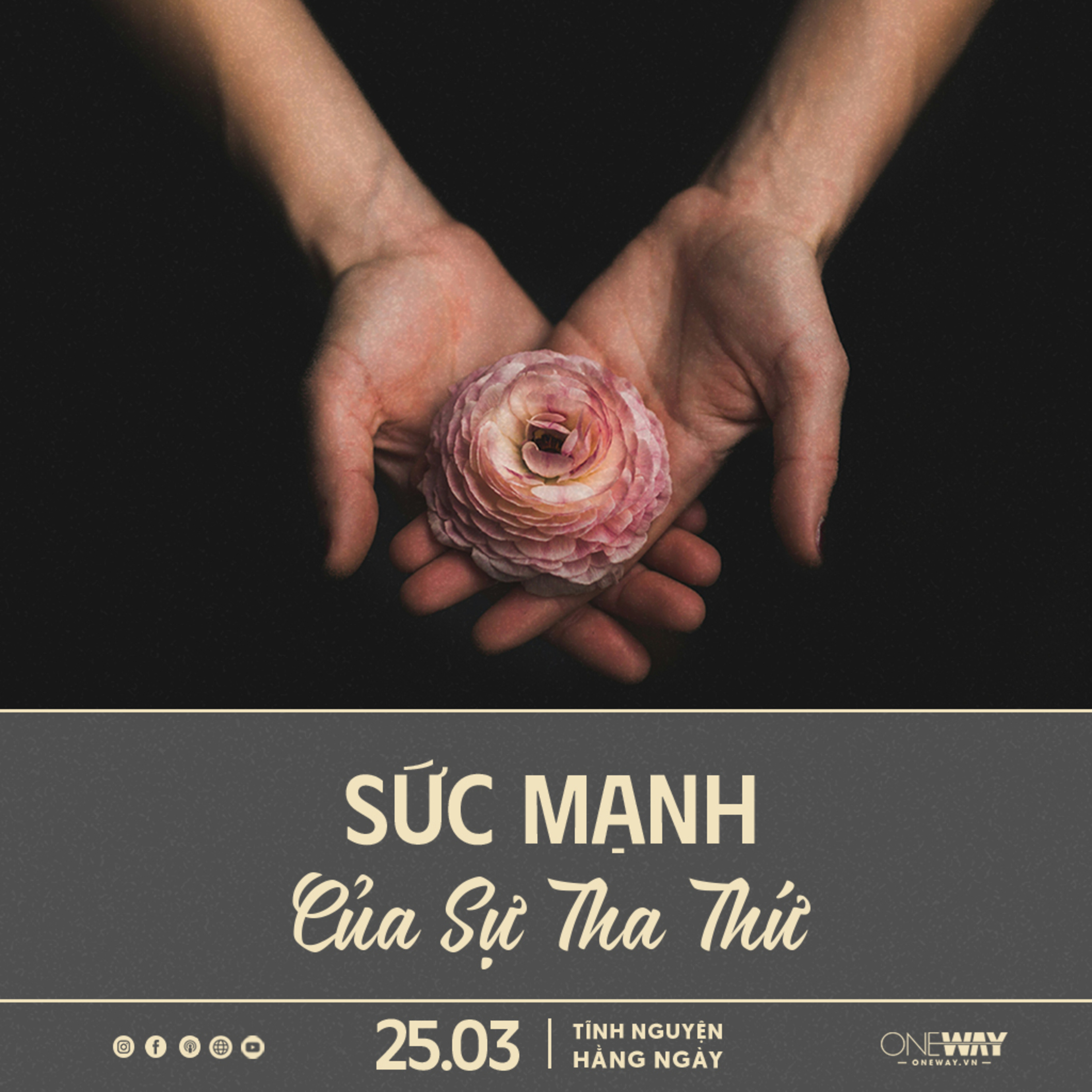 SỨC MẠNH CỦA SỰ THA THỨ | Tĩnh Nguyện Hằng Ngày 25/03/2025 episode artwork
