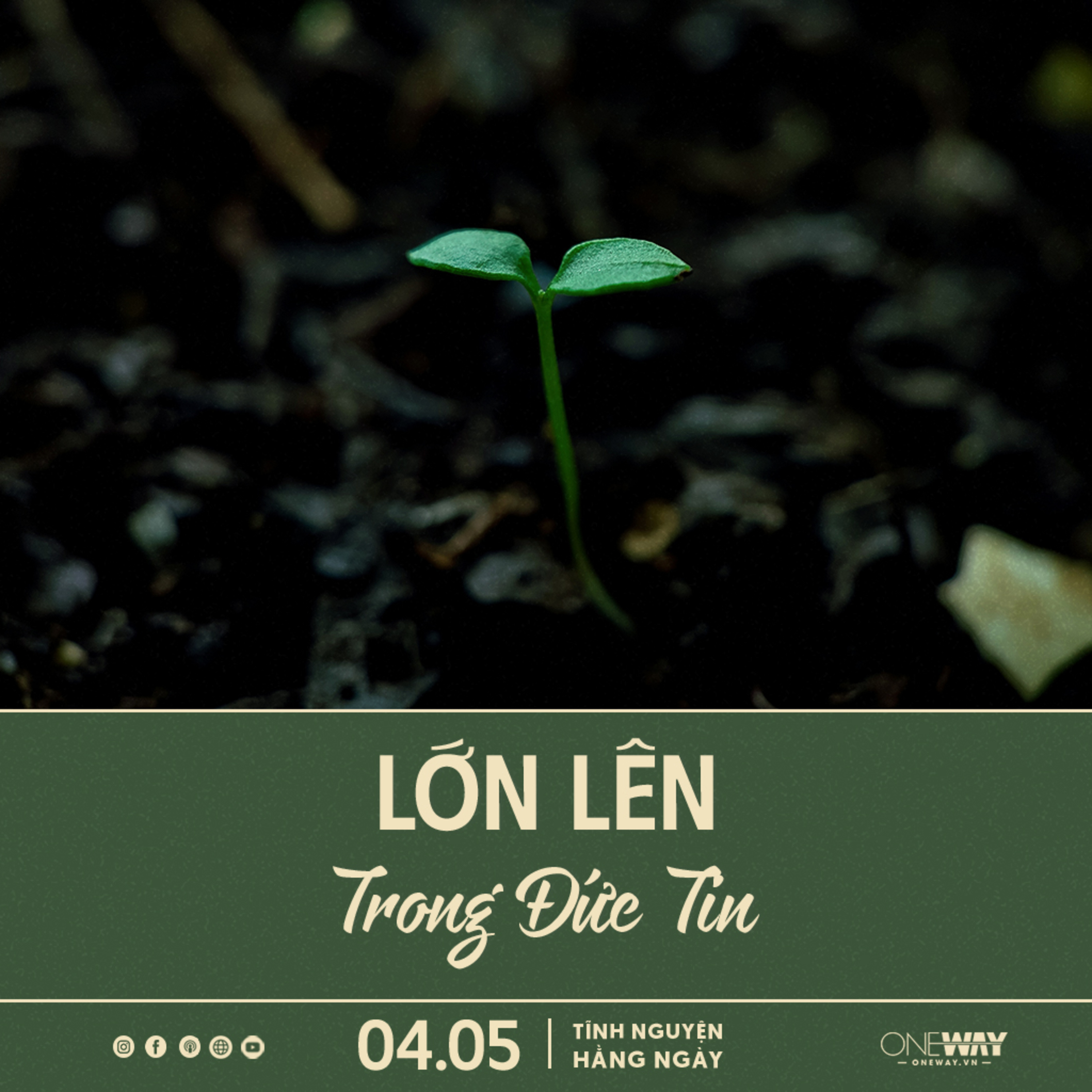 LỚN LÊN TRONG ĐỨC TIN | Tĩnh Nguyện Hằng Ngày 04/05/2025 episode artwork