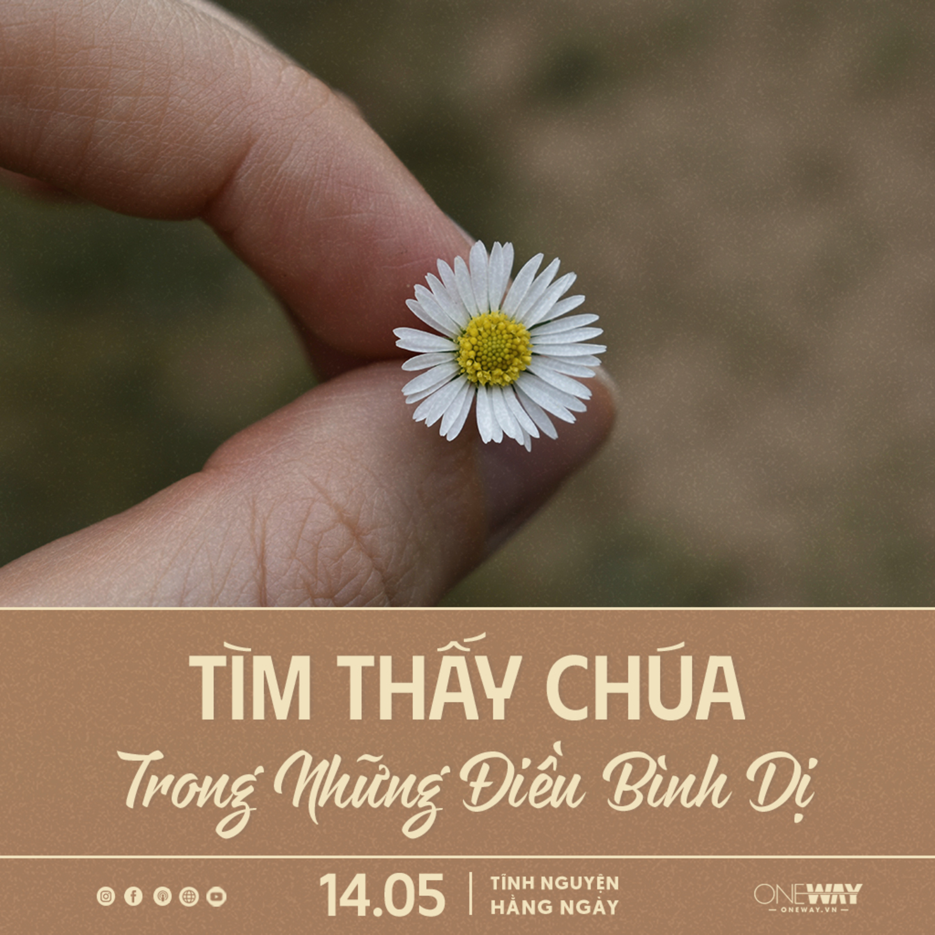 TÌM THẤY CHÚA TRONG NHỮNG ĐIỀU BÌNH DỊ | Tĩnh Nguyện Hằng Ngày 14/05/2025 episode artwork