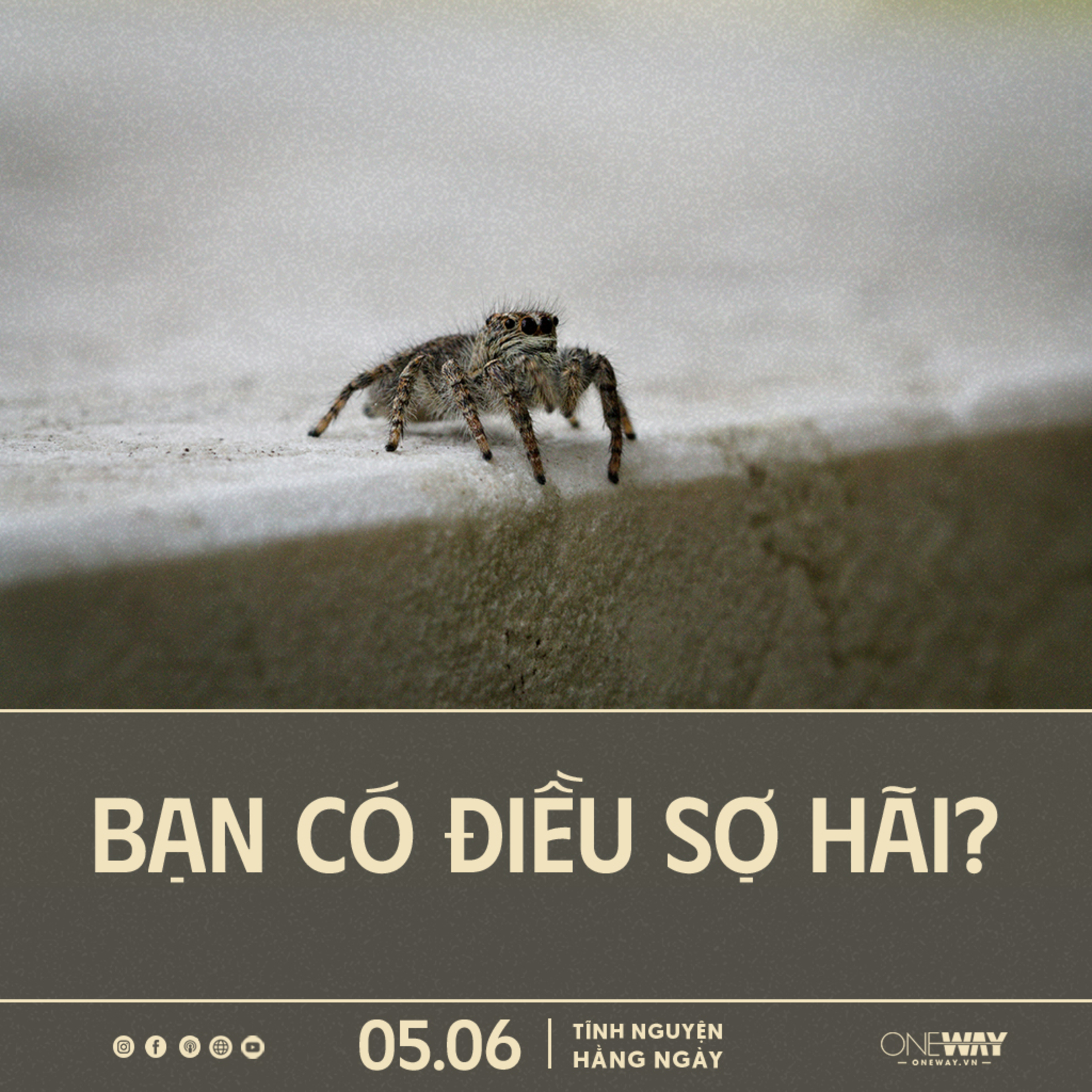 Oneway Radio - Tĩnh Nguyện Hằng Ngày