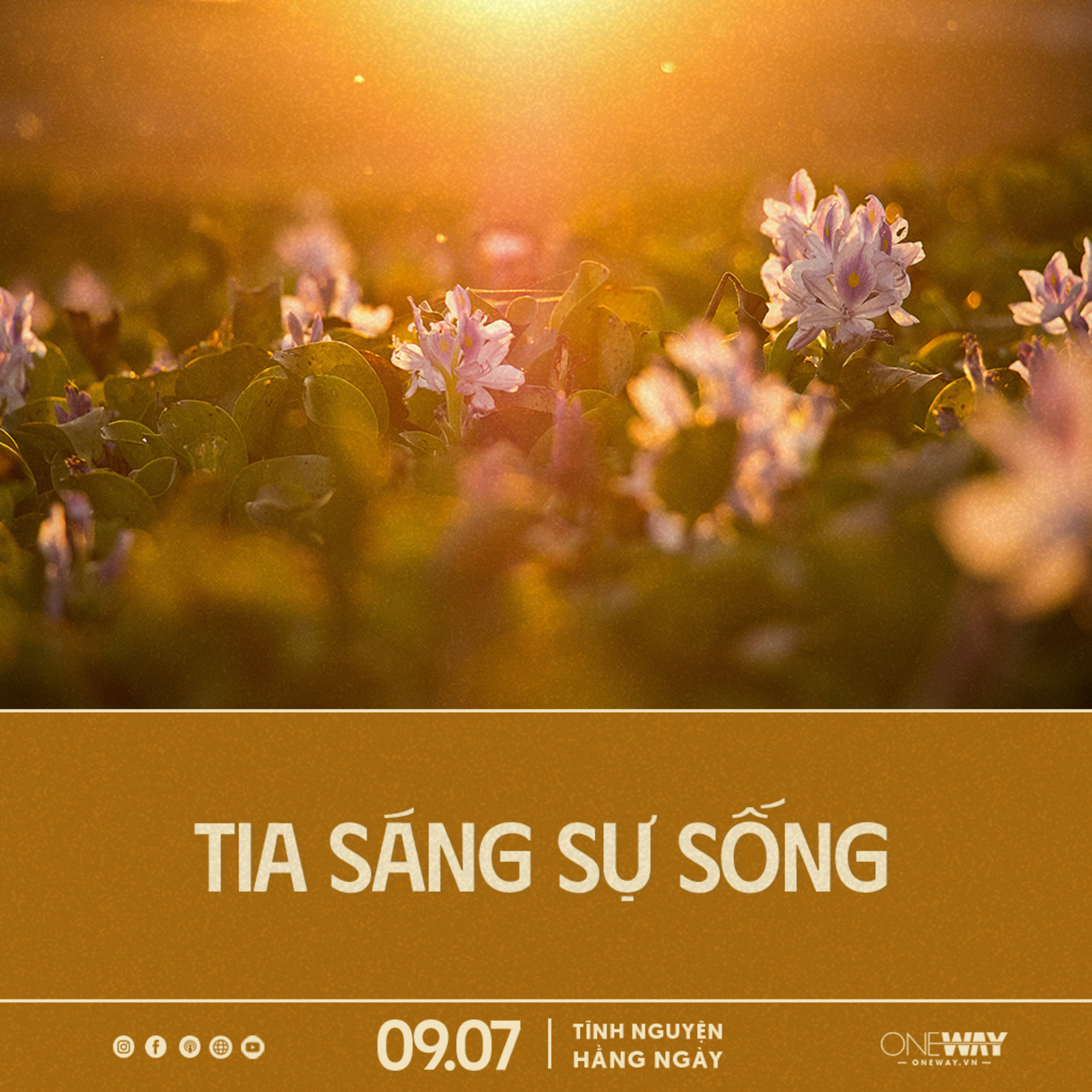 Oneway Radio - Tĩnh Nguyện Hằng Ngày