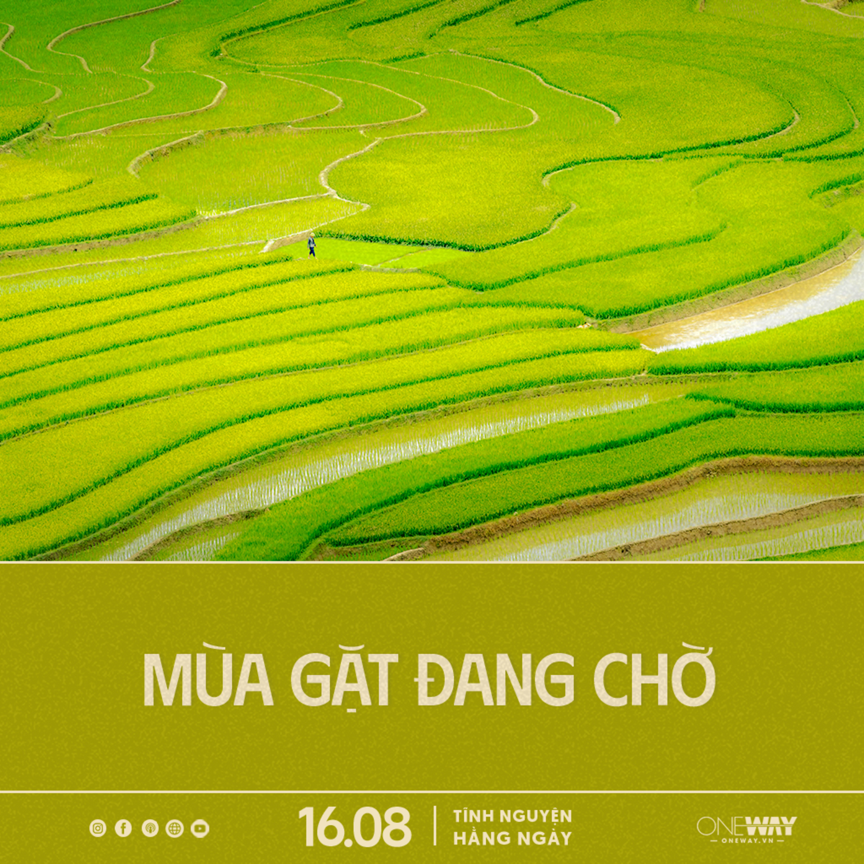 MÙA GẶT ĐANG CHỜ | Tĩnh Nguyện Hằng Ngày 16/08/2025 episode artwork