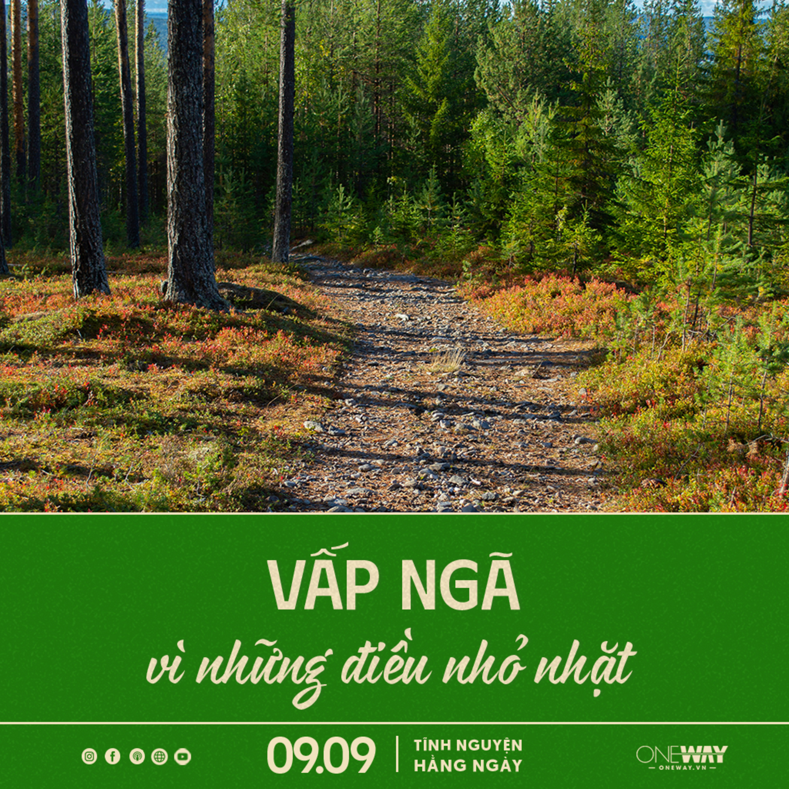 VẤP NGÃ VÌ NHỮNG ĐIỀU NHỎ NHẶT | Tĩnh Nguyện Hằng Ngày 09/09/2025  episode artwork