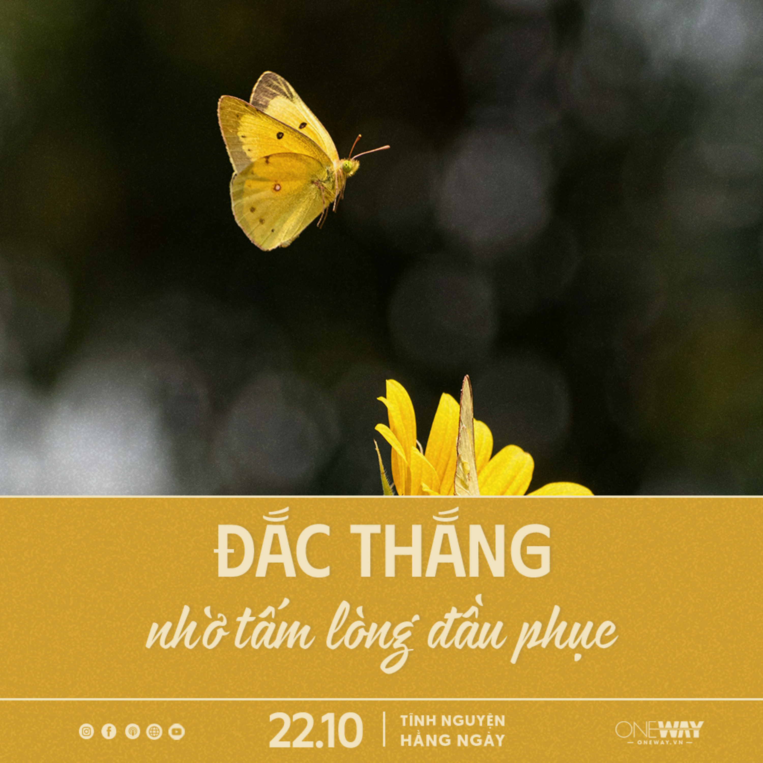 ĐẮC THẮNG NHỜ TẤM LÒNG ĐẦU PHỤC | Tĩnh Nguyện Hằng Ngày 22/10/2025 episode artwork