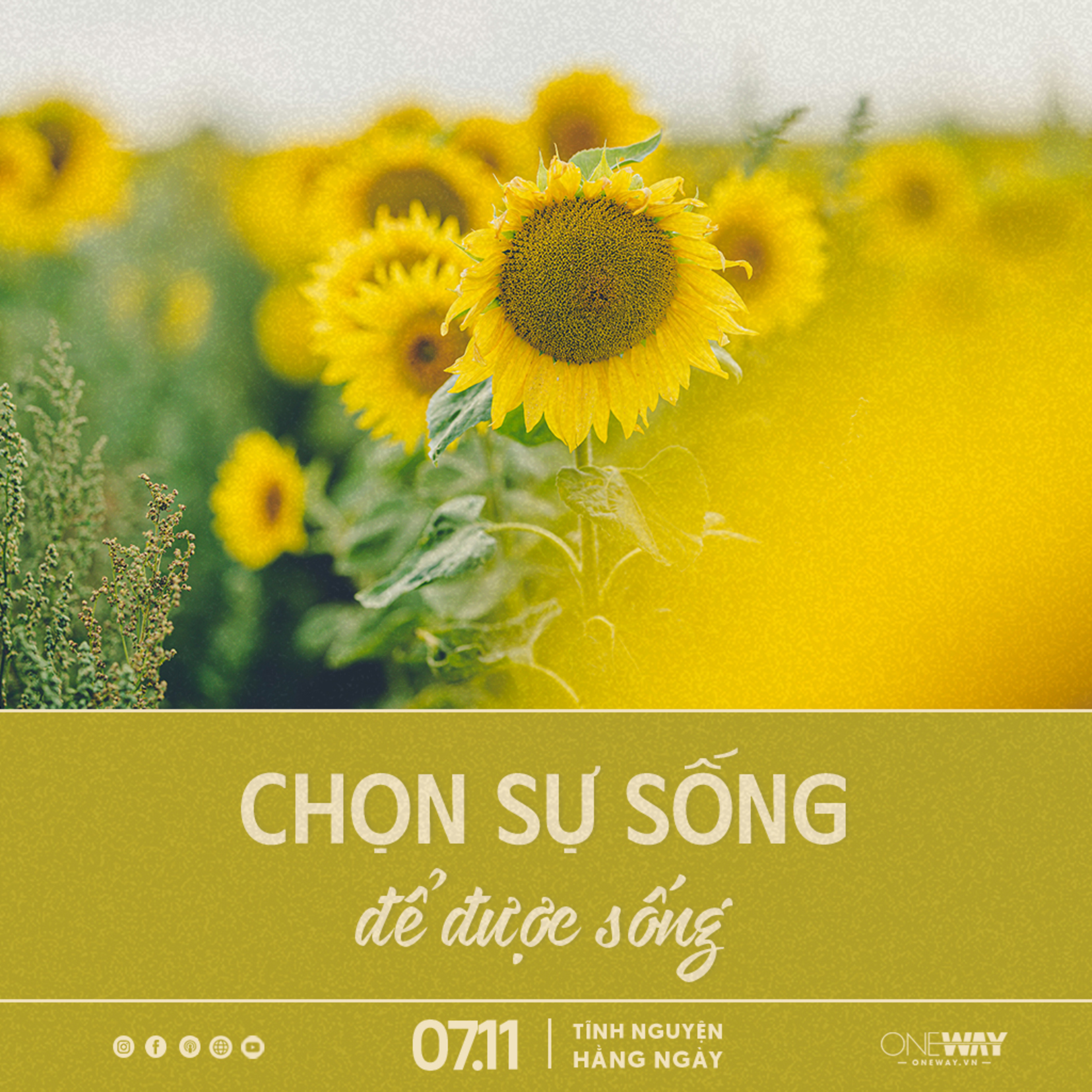 CHỌN SỰ SỐNG ĐỂ ĐƯỢC SỐNG | Tĩnh Nguyện Hằng Ngày 07/11/2025 episode artwork