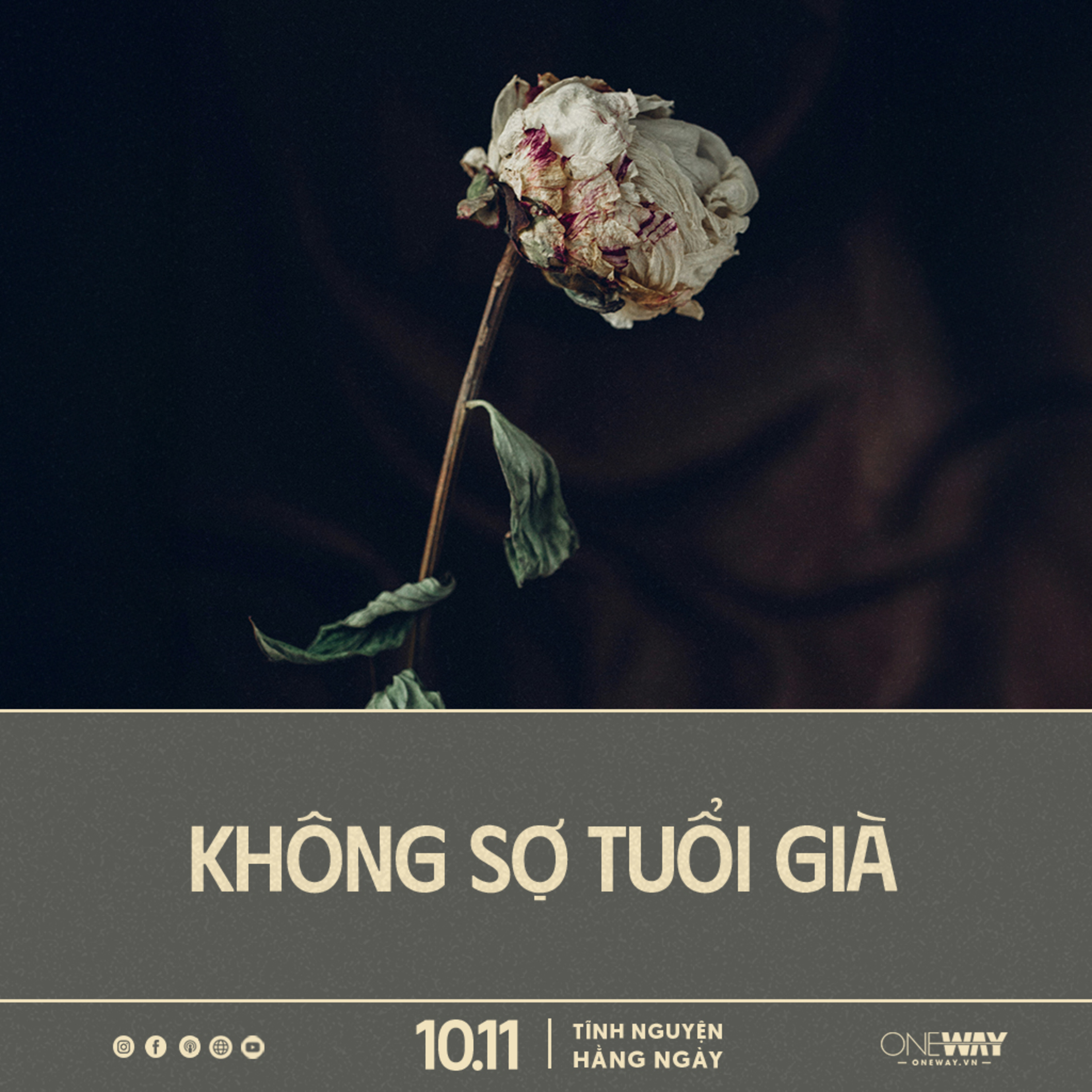 KHÔNG SỢ TUỔI GIÀ | Tĩnh Nguyện Hằng Ngày 10/11/2025 episode artwork