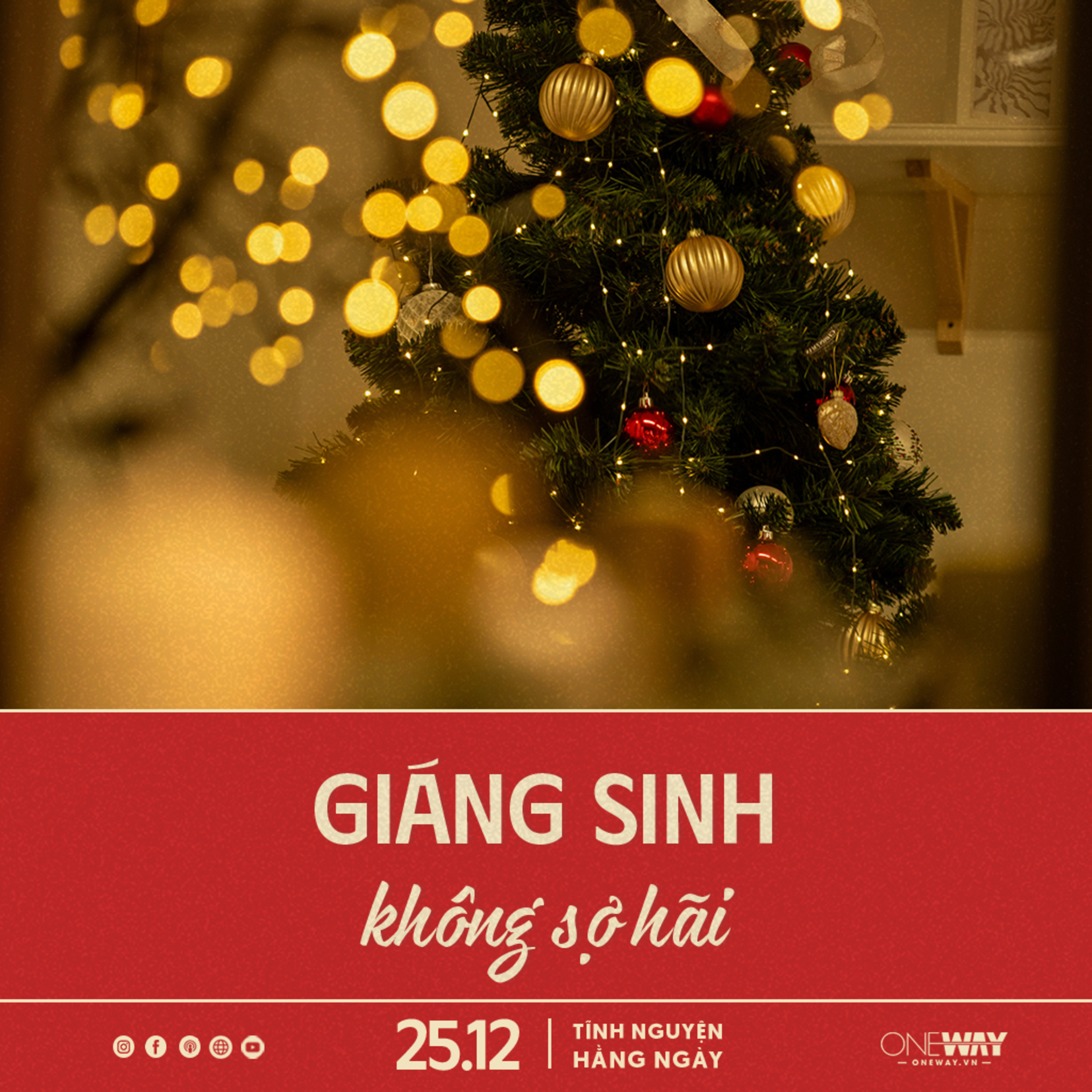 GIÁNG SINH KHÔNG SỢ HÃI | Tĩnh Nguyện Hằng Ngày 25/12/2025 episode artwork