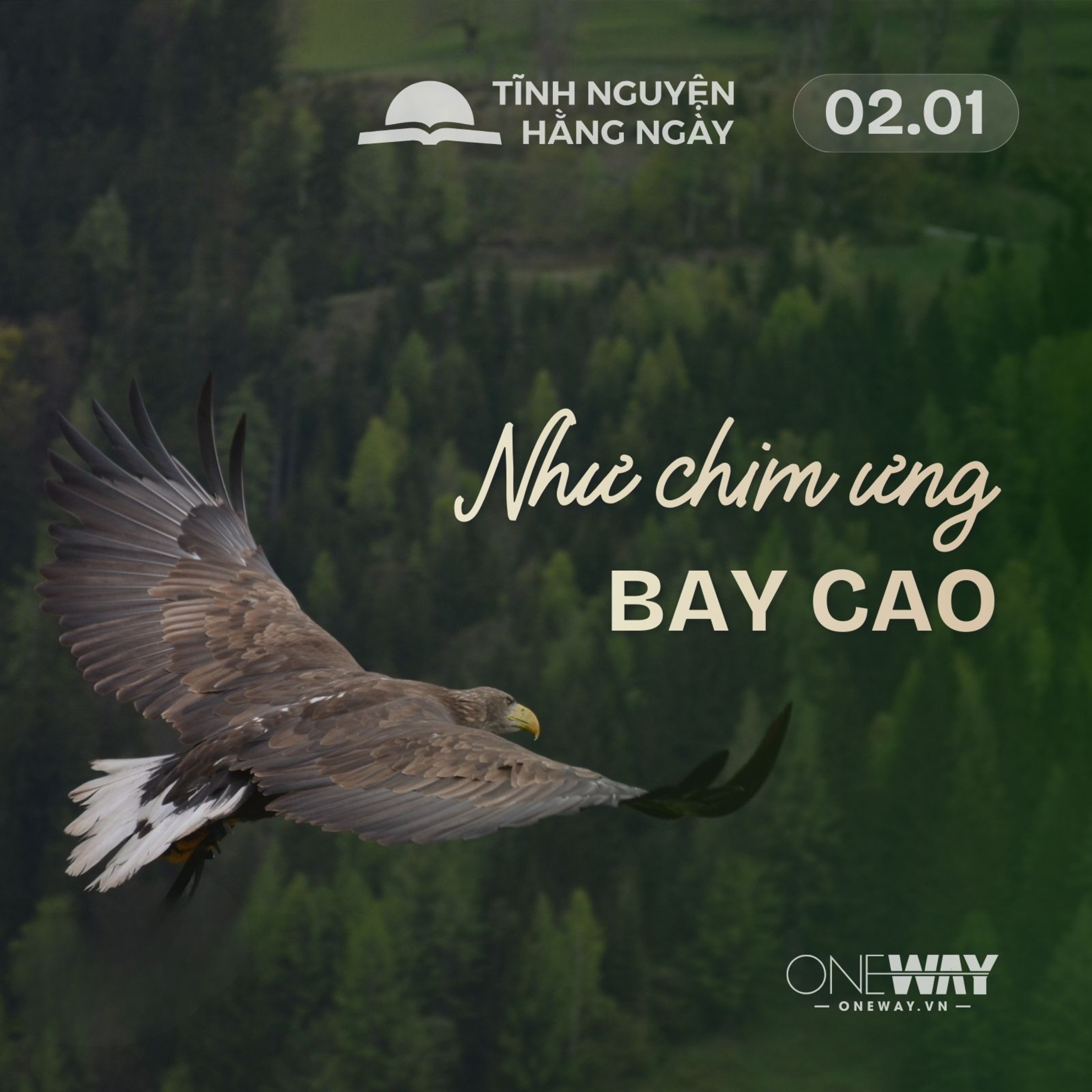 NHƯ CHIM ƯNG BAY CAO | Tĩnh Nguyện Hằng Ngày 02/01/2026 episode artwork