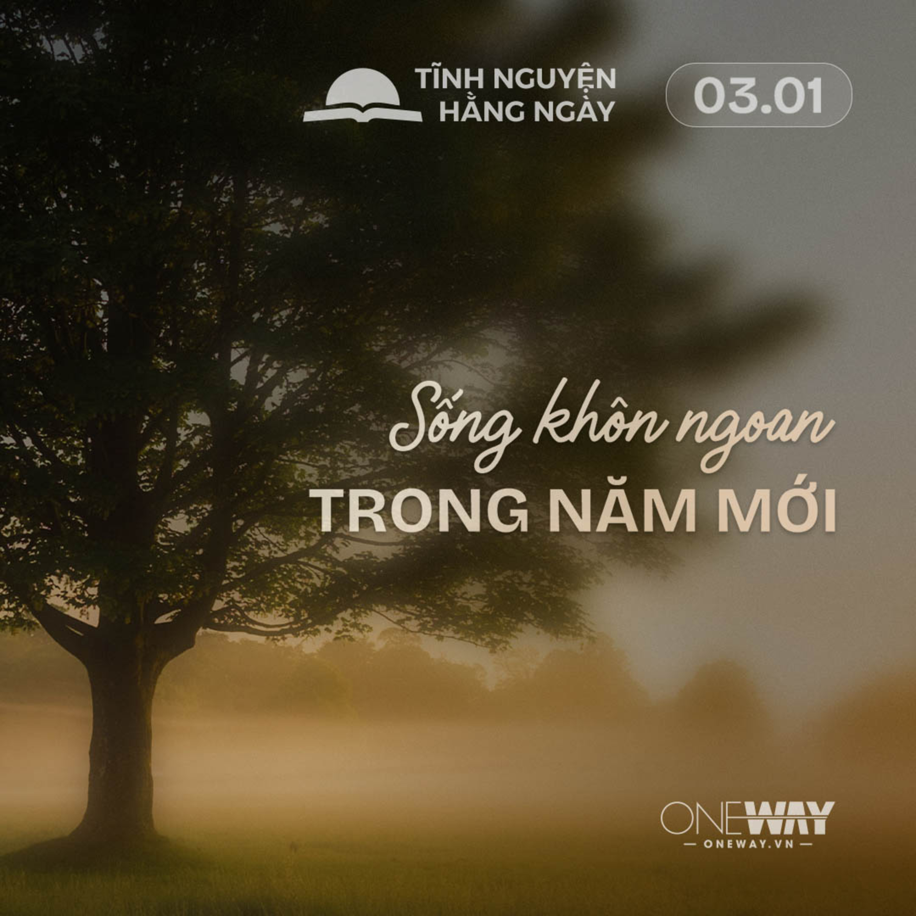 SỐNG KHÔN NGOAN TRONG NĂM MỚI | Tĩnh Nguyện Hằng Ngày 03/01/2026 episode artwork