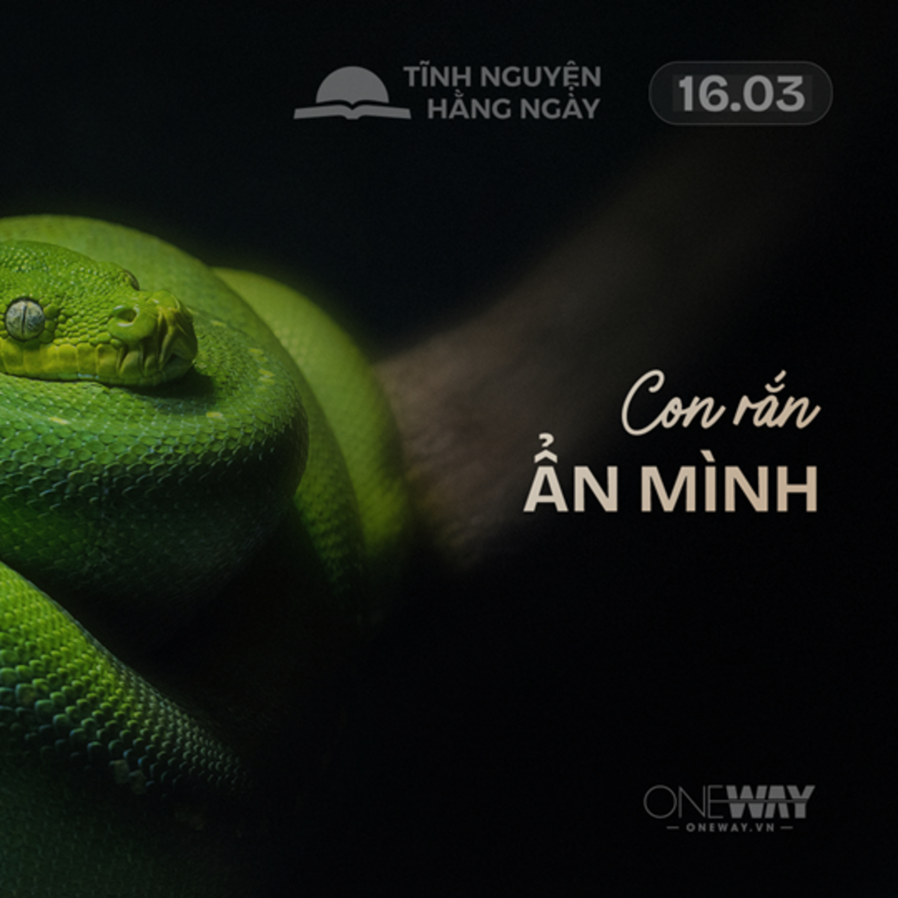 CON RẮN ẨN MÌNH | Tĩnh Nguyện Hằng Ngày 16/03/2026 episode artwork