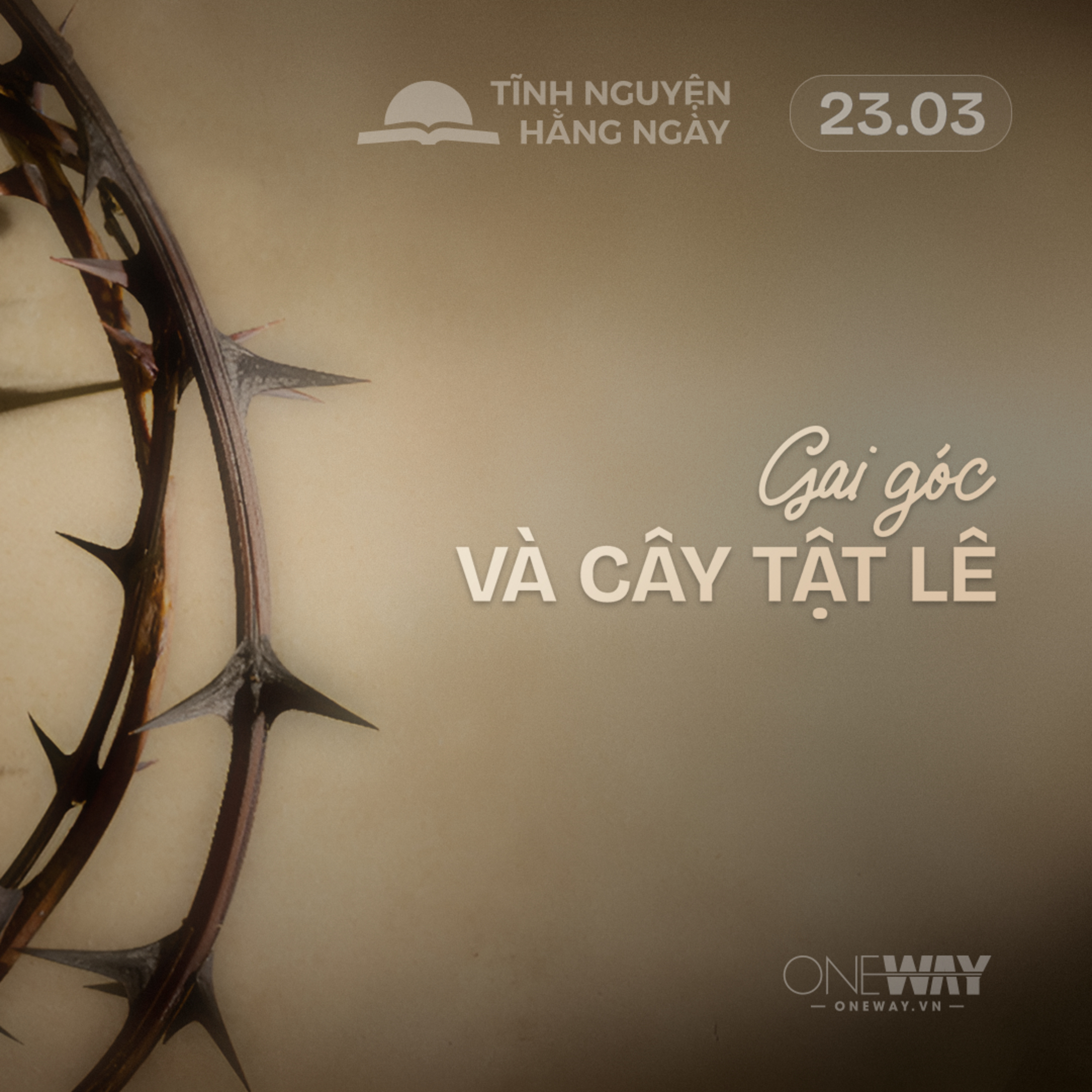 GAI GÓC VÀ CÂY TẬT LÊ | Tĩnh Nguyện Hằng Ngày 23/03/2026 episode artwork