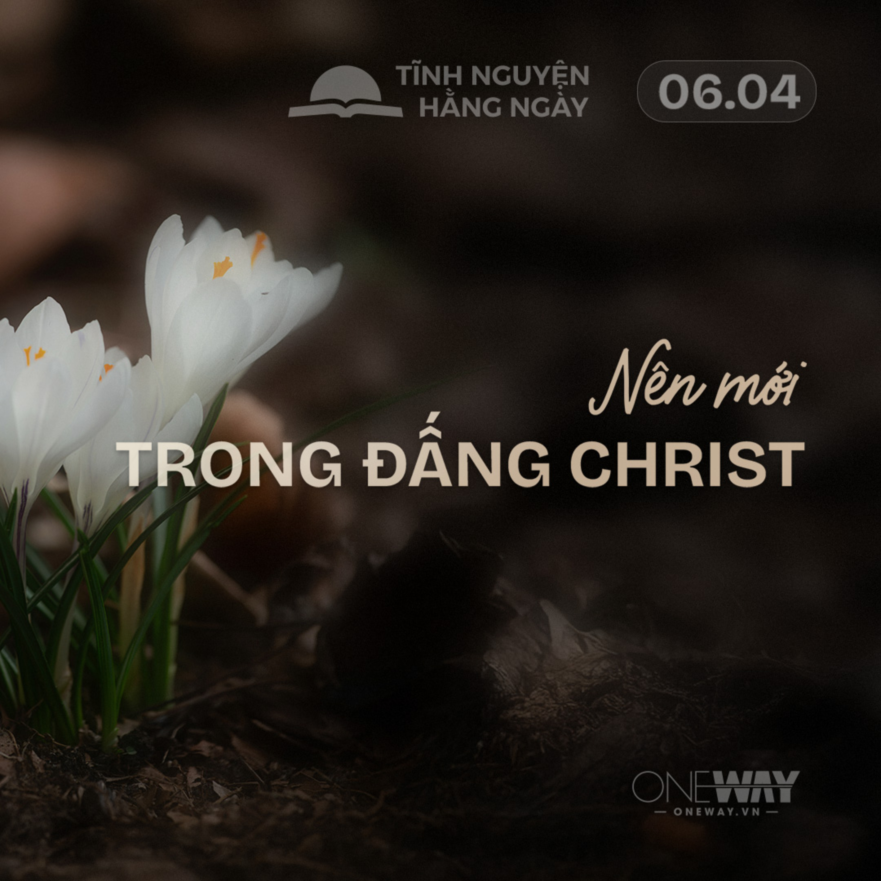 NÊN MỚI TRONG ĐẤNG CHRIST | Tĩnh Nguyện Hằng Ngày 06/04/2026 episode artwork