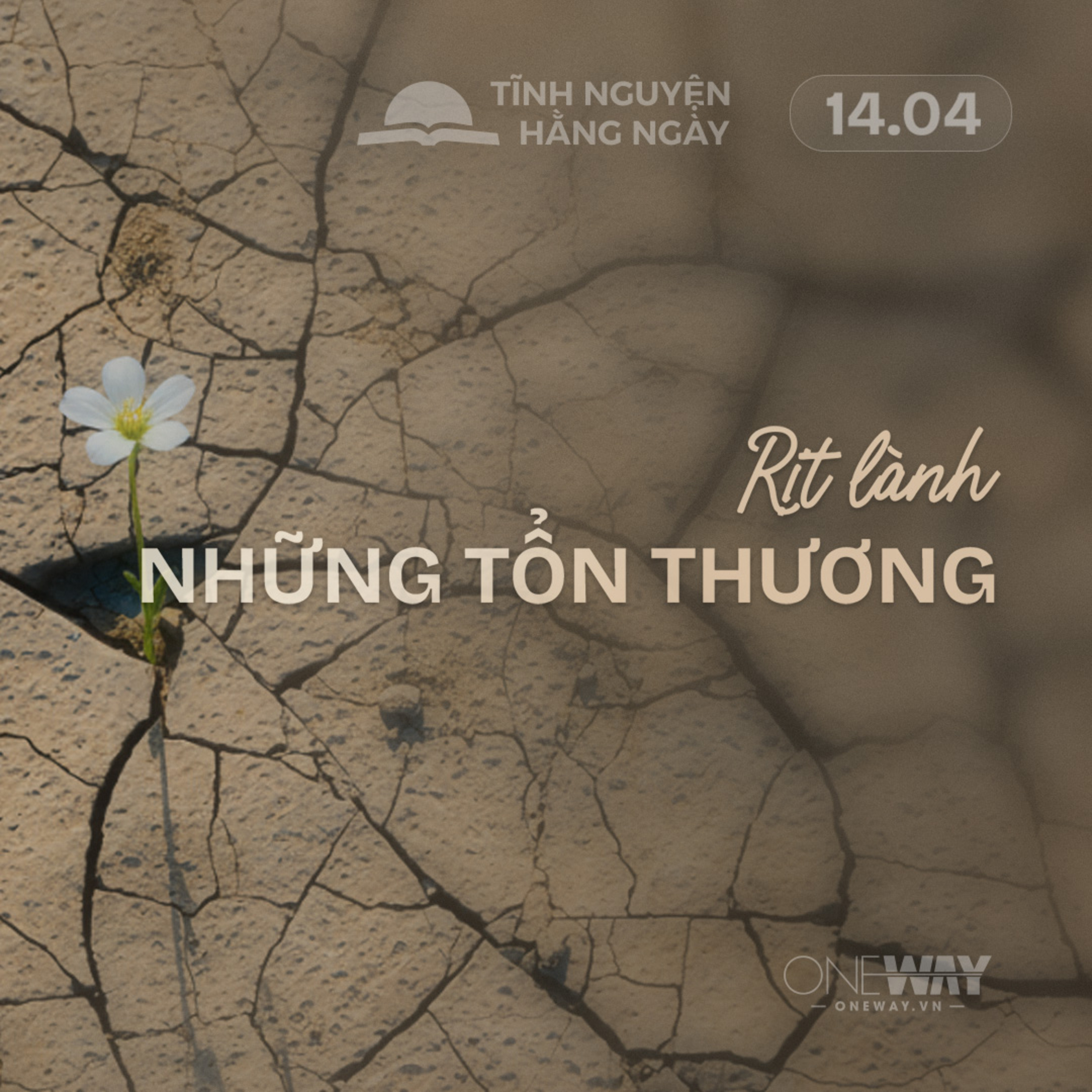 RỊT LÀNH NHỮNG TỔN THƯƠNG | Tĩnh Nguyện Hằng Ngày 14/04/2026 episode artwork