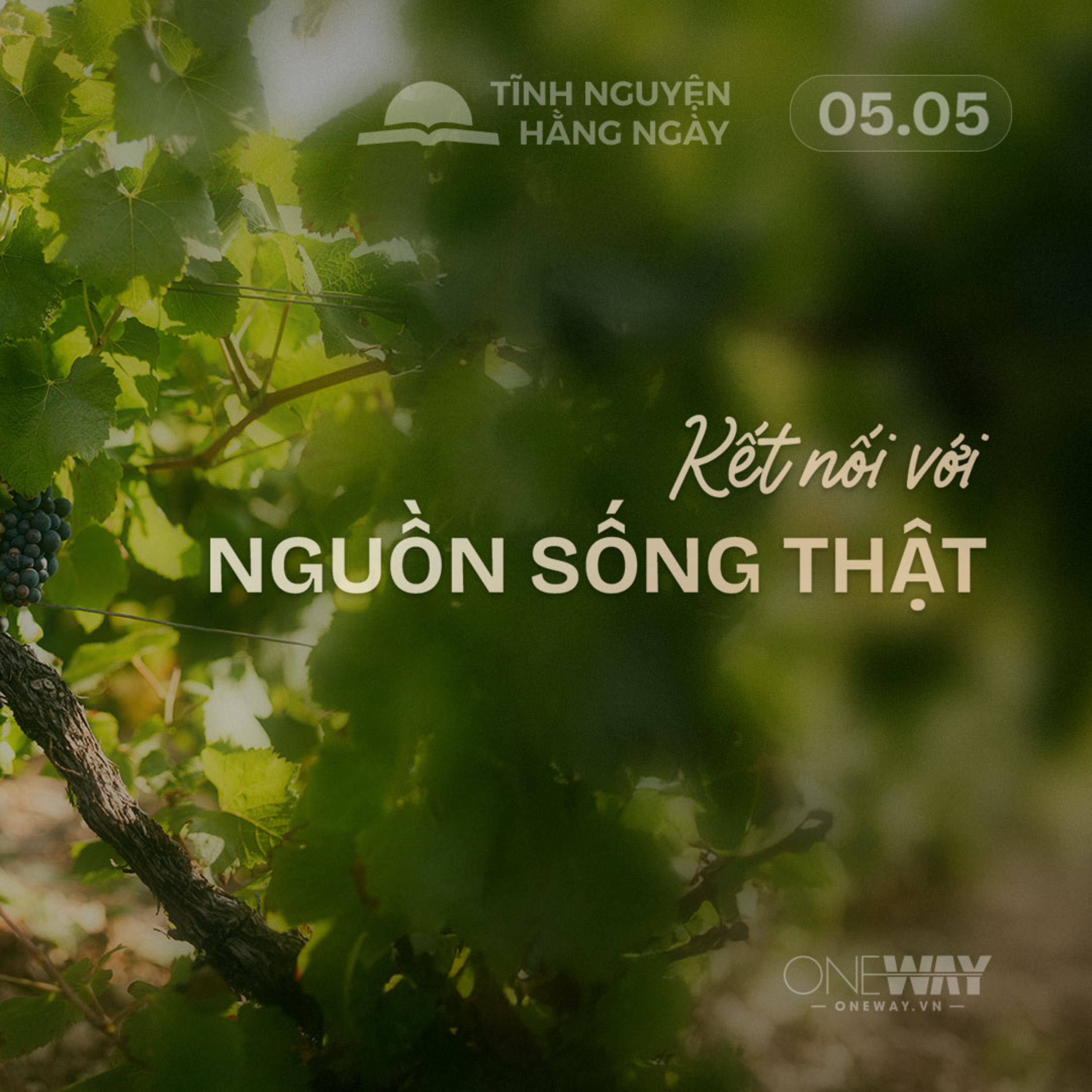 KẾT NỐI VỚI NGUỒN SỐNG THẬT | Tĩnh Nguyện Hằng Ngày 05/05/2026 episode artwork