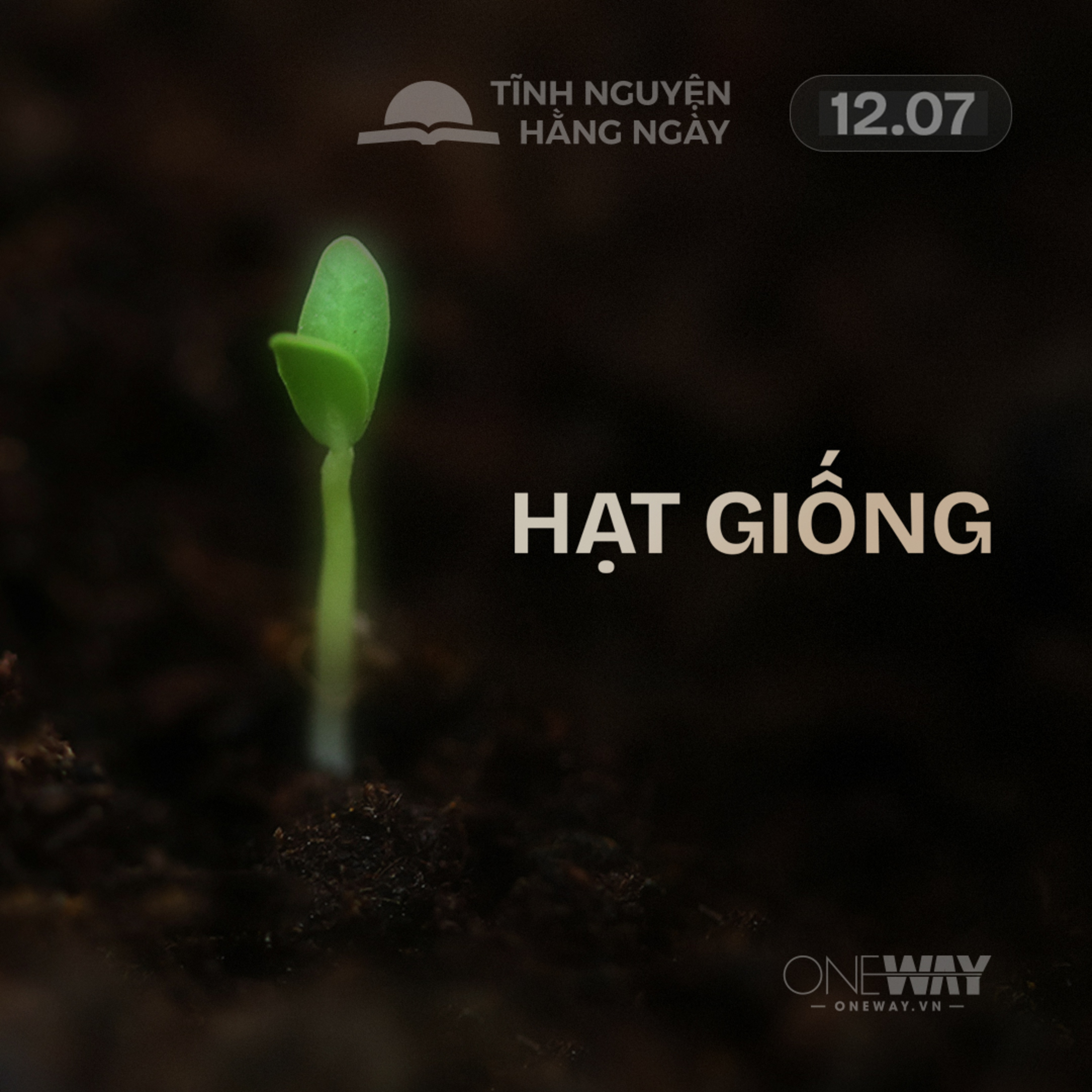 HẠT GIỐNG | Tĩnh Nguyện Hằng Ngày 12/07/2026 episode artwork